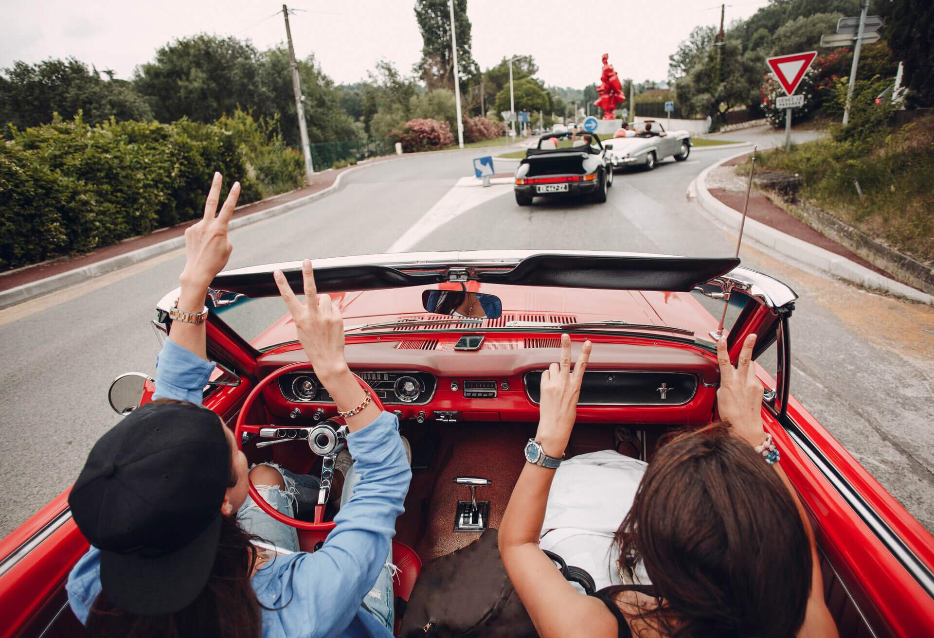 Fri som fuglen i Europa: Spektakulære roadtrips i naturen