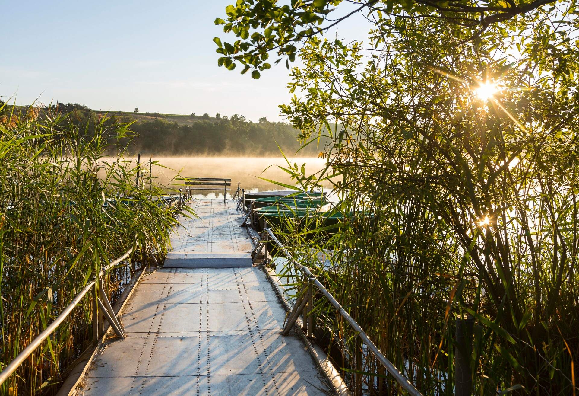 A narrow dock through tall grasses, with a rustic bench on the deck's edge and boats parked on both sides.