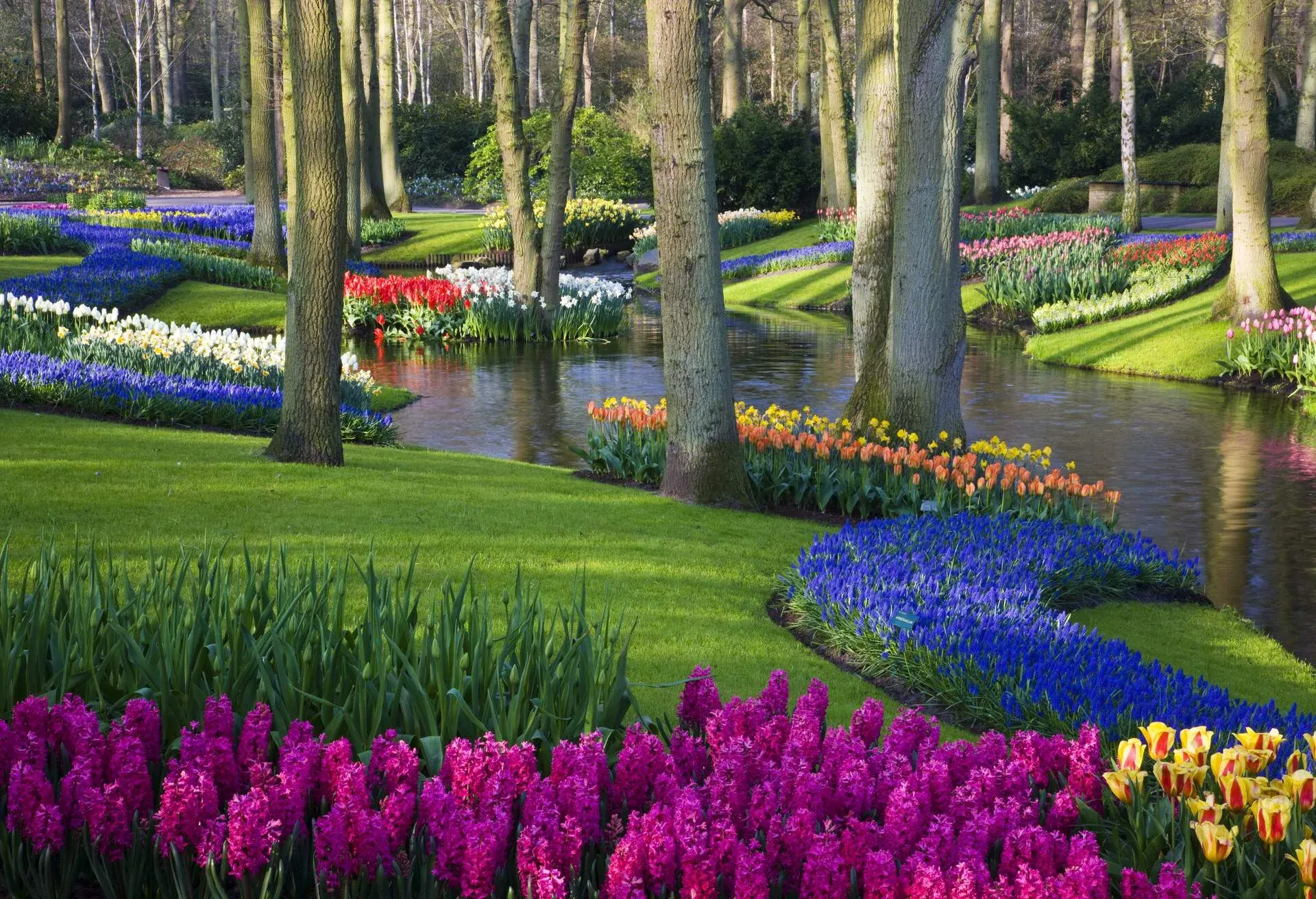 the netherlands lisse keukenhof