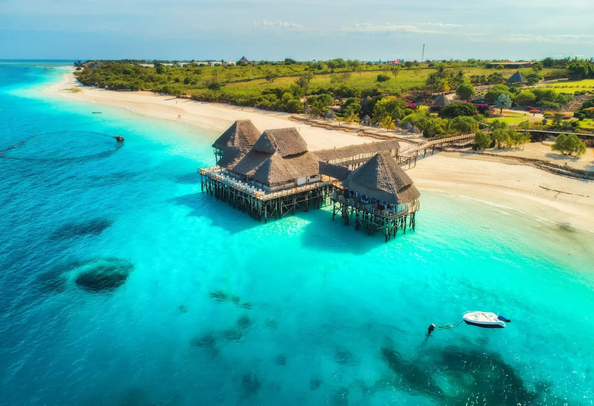 Aerial view of beach in Zanzibar