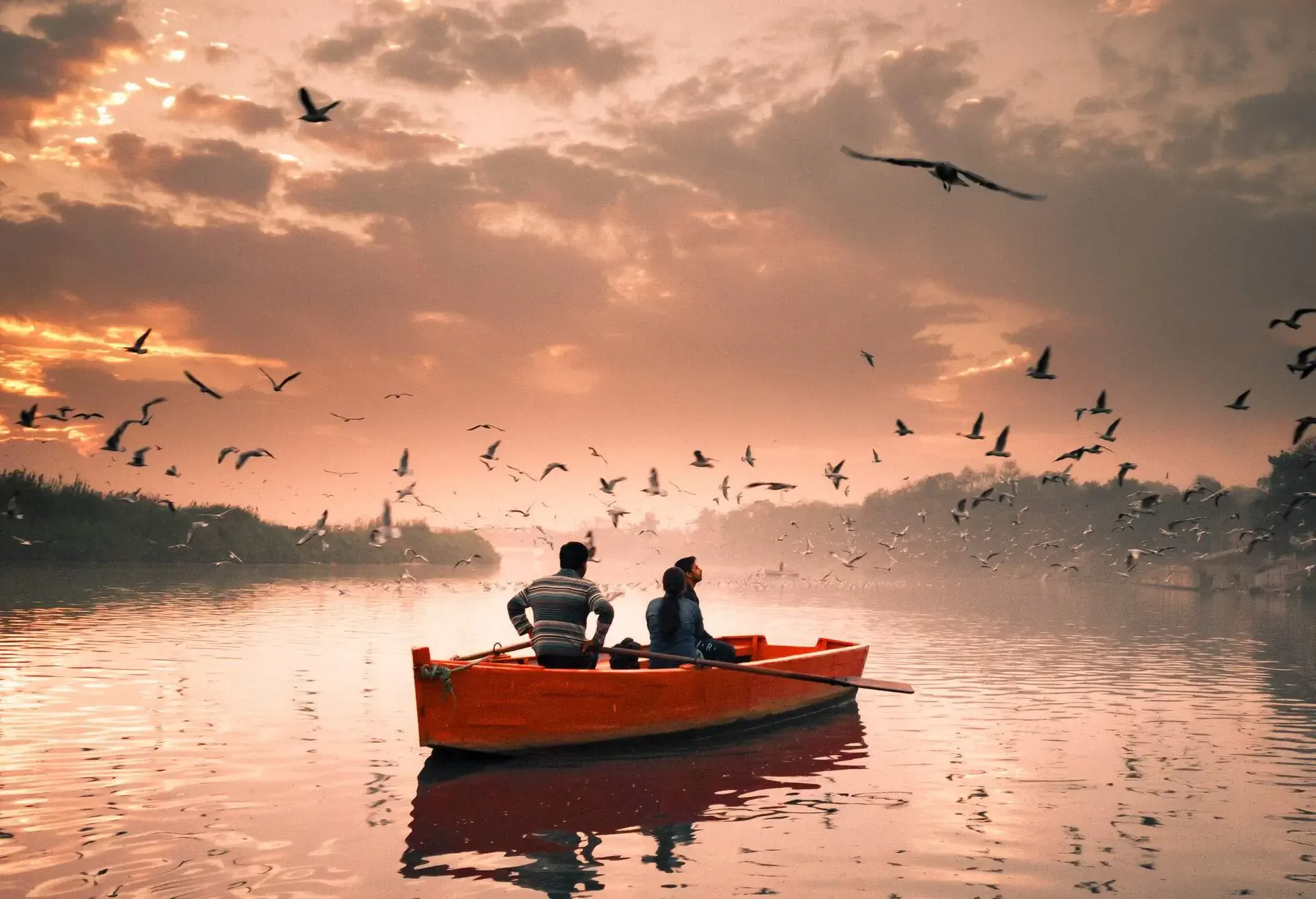 3 people on a boat surrounded by birds and with a scenic backdrop