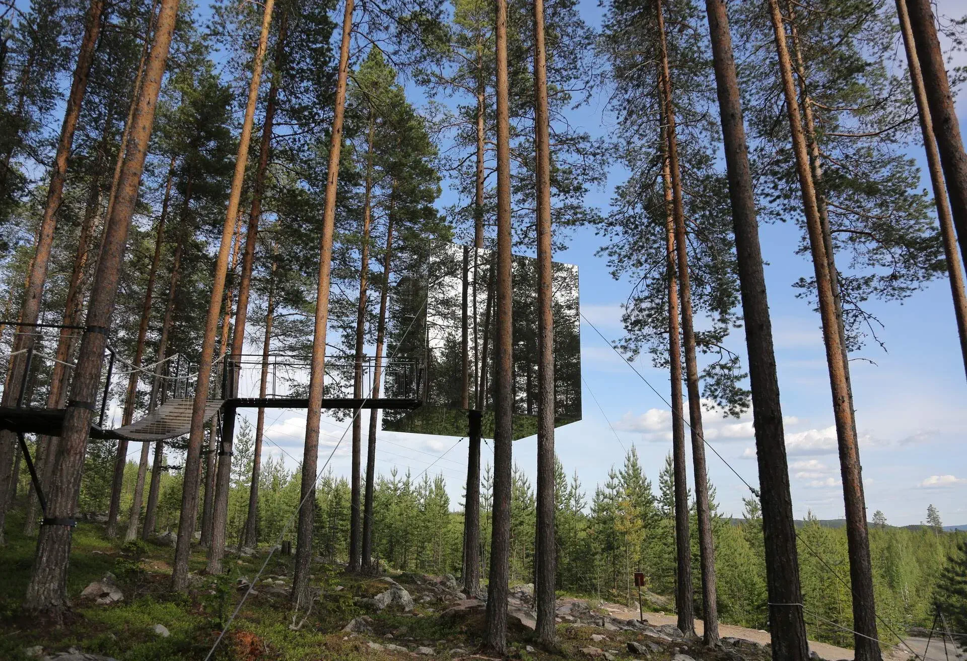 A mirror-reflected sqaure-shaped hotel in the treetops