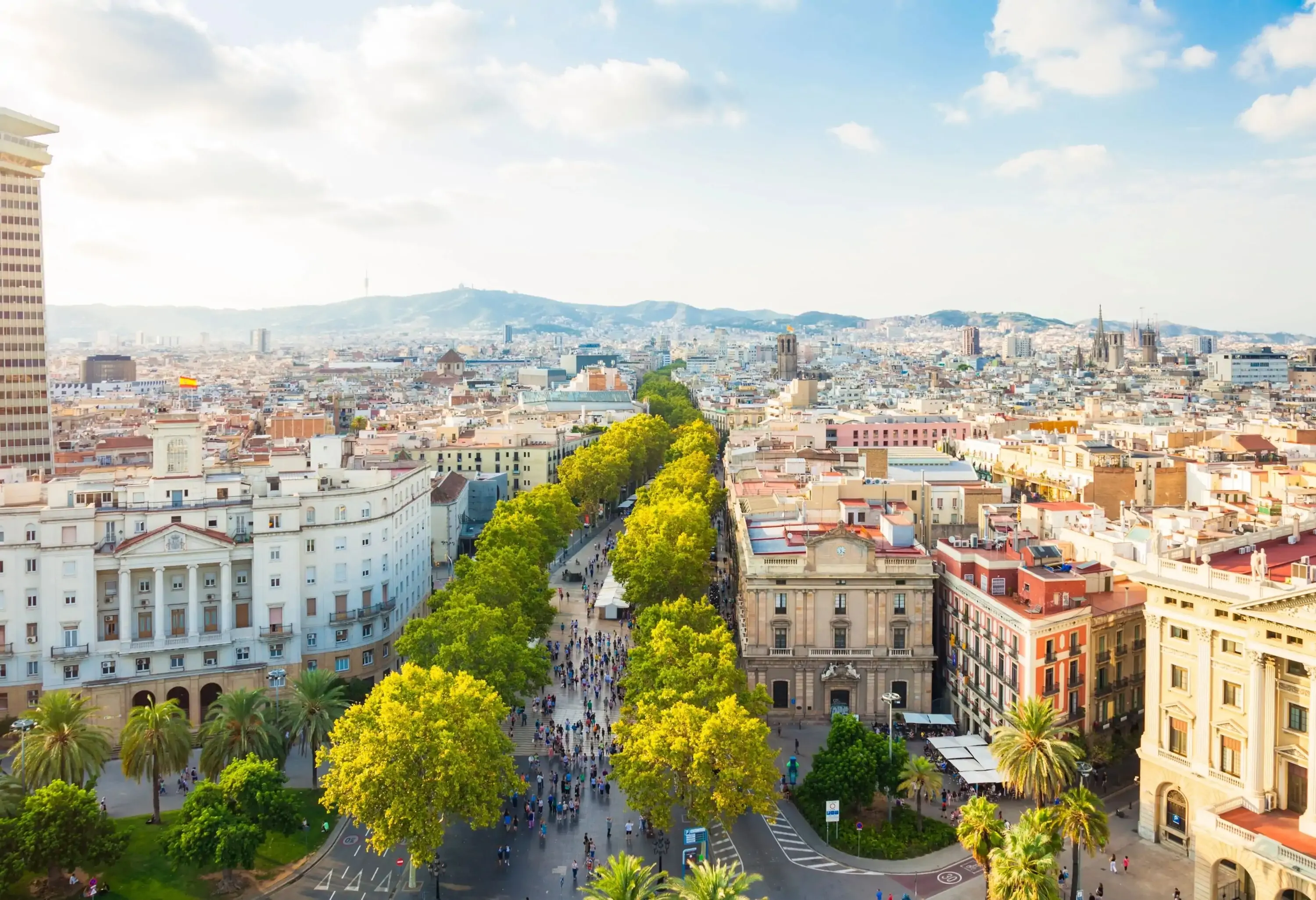 Aerial view of a bustling city with tree-lined streets and historic buildings, set against a backdrop of rolling hills under a sunny sky.