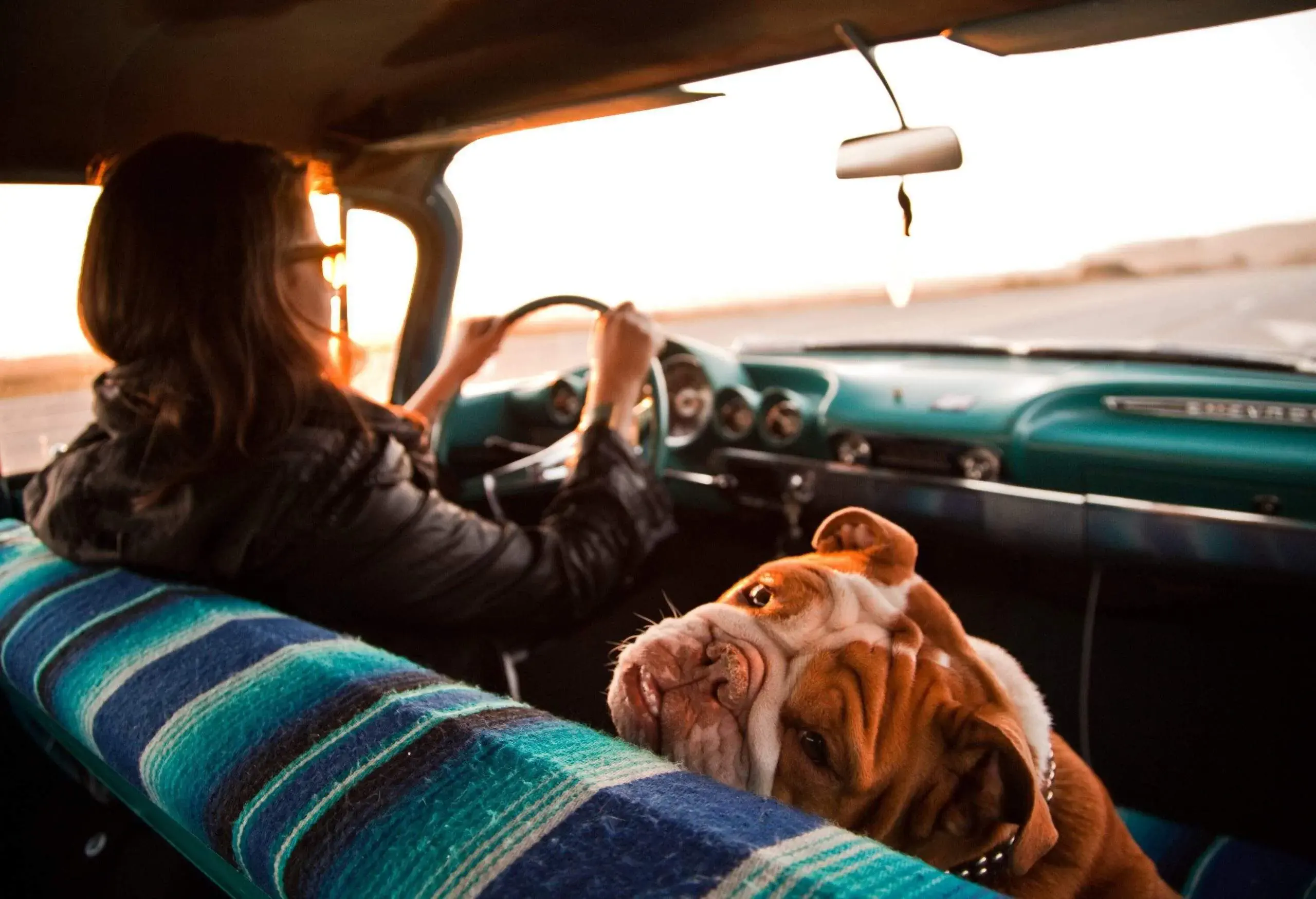 A woman driving a vintage car, with her dog on a passenger front seat