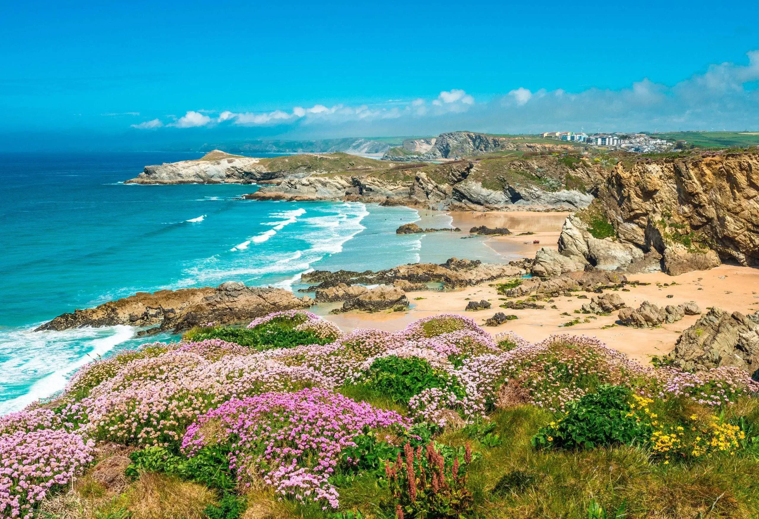 High angle view of a bay, with spring flowers in the foreground, waves and blue sky