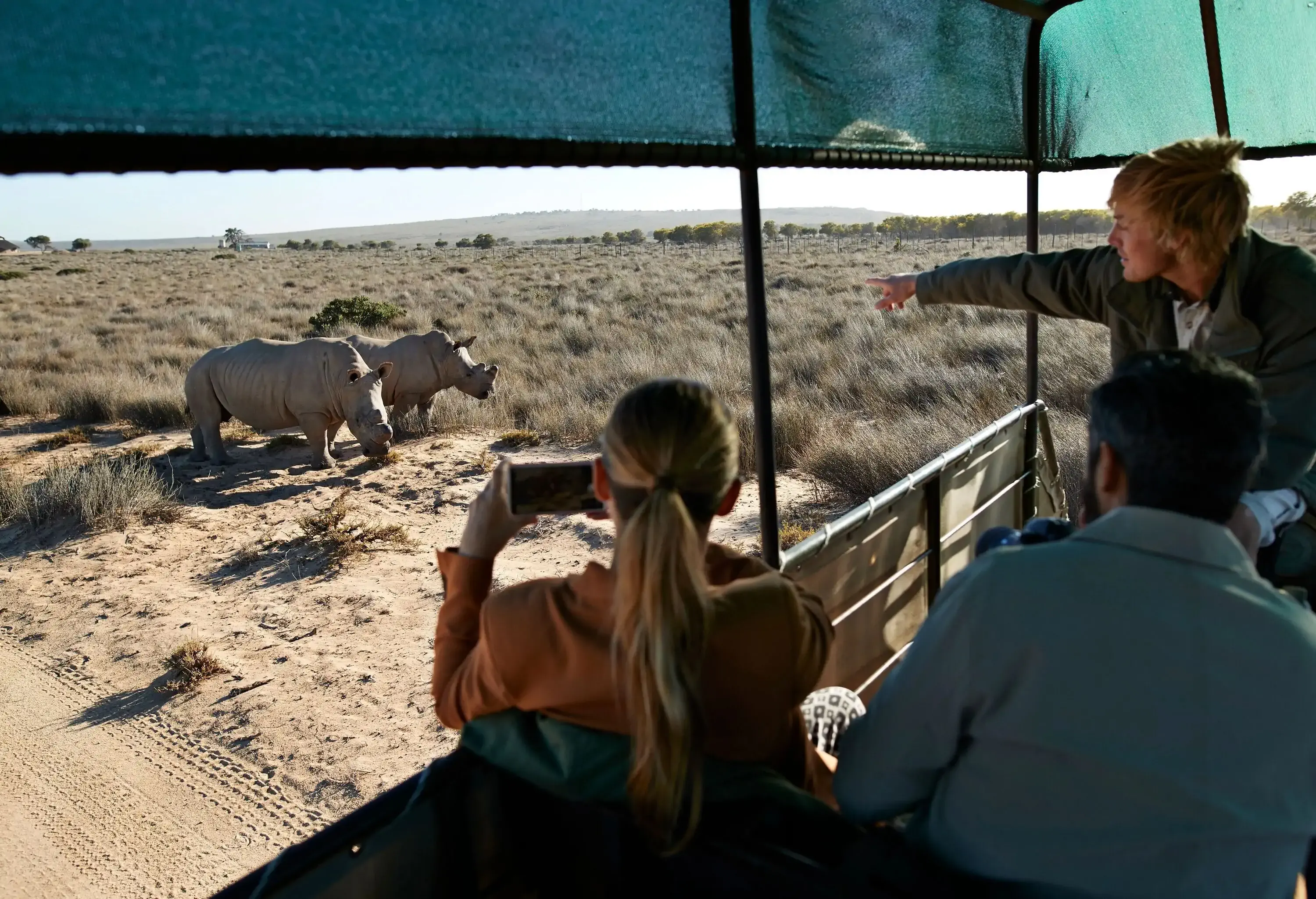 Couple on safari excursion in South africa taking photos of two rhinos
