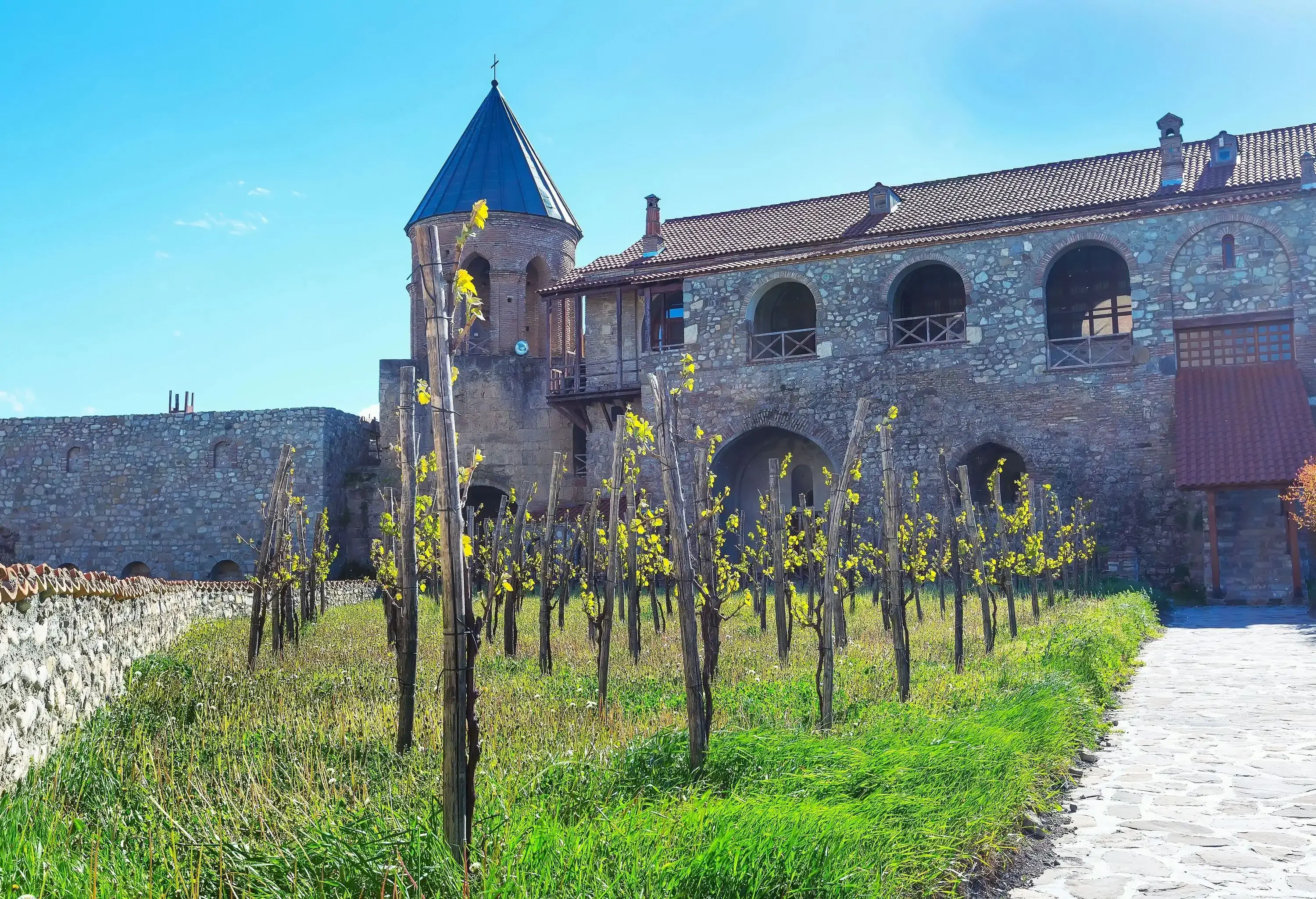 A small vineyard beside a stone building with a rounded tower.