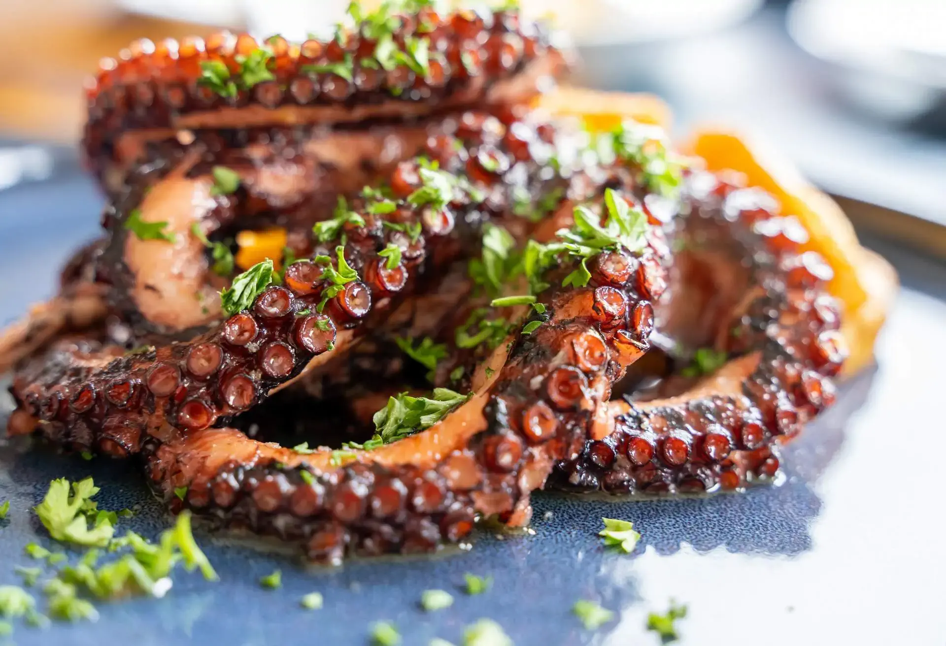 Grilled octopus with herbs on a blue plate