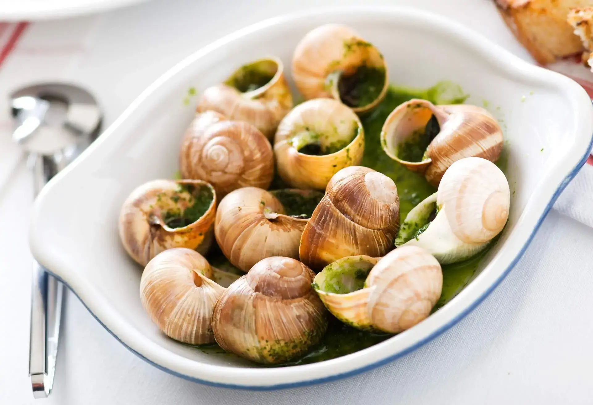 Escargots with green herbal sauce in a white bowl