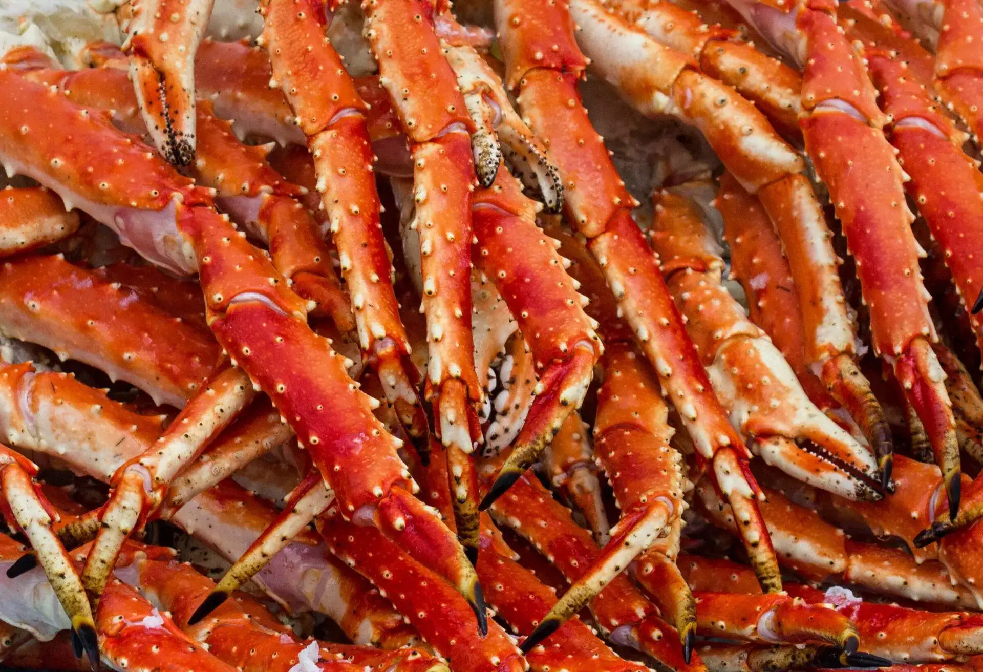 Meat of king crabs in Bergen fishmarket, Norway 