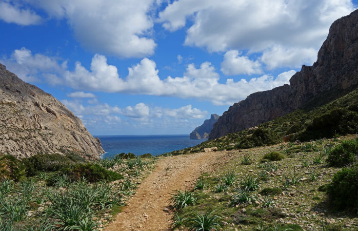 Boquer mallorca