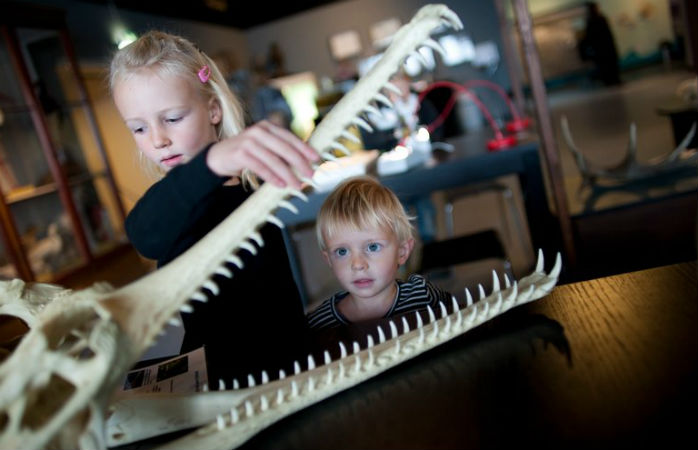 Zoologisk Museum i København