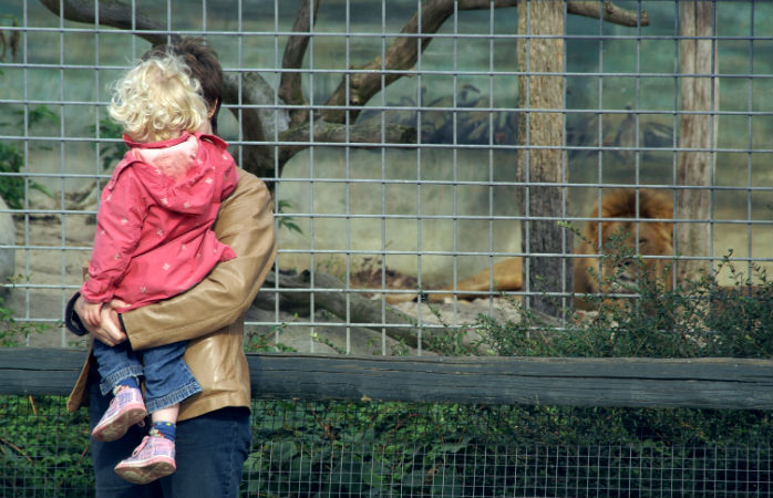 Jyllands Park Zoo