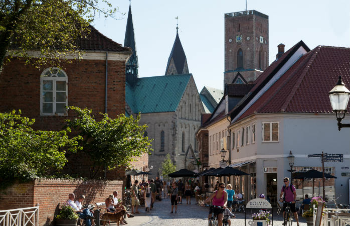 ribe domkirke