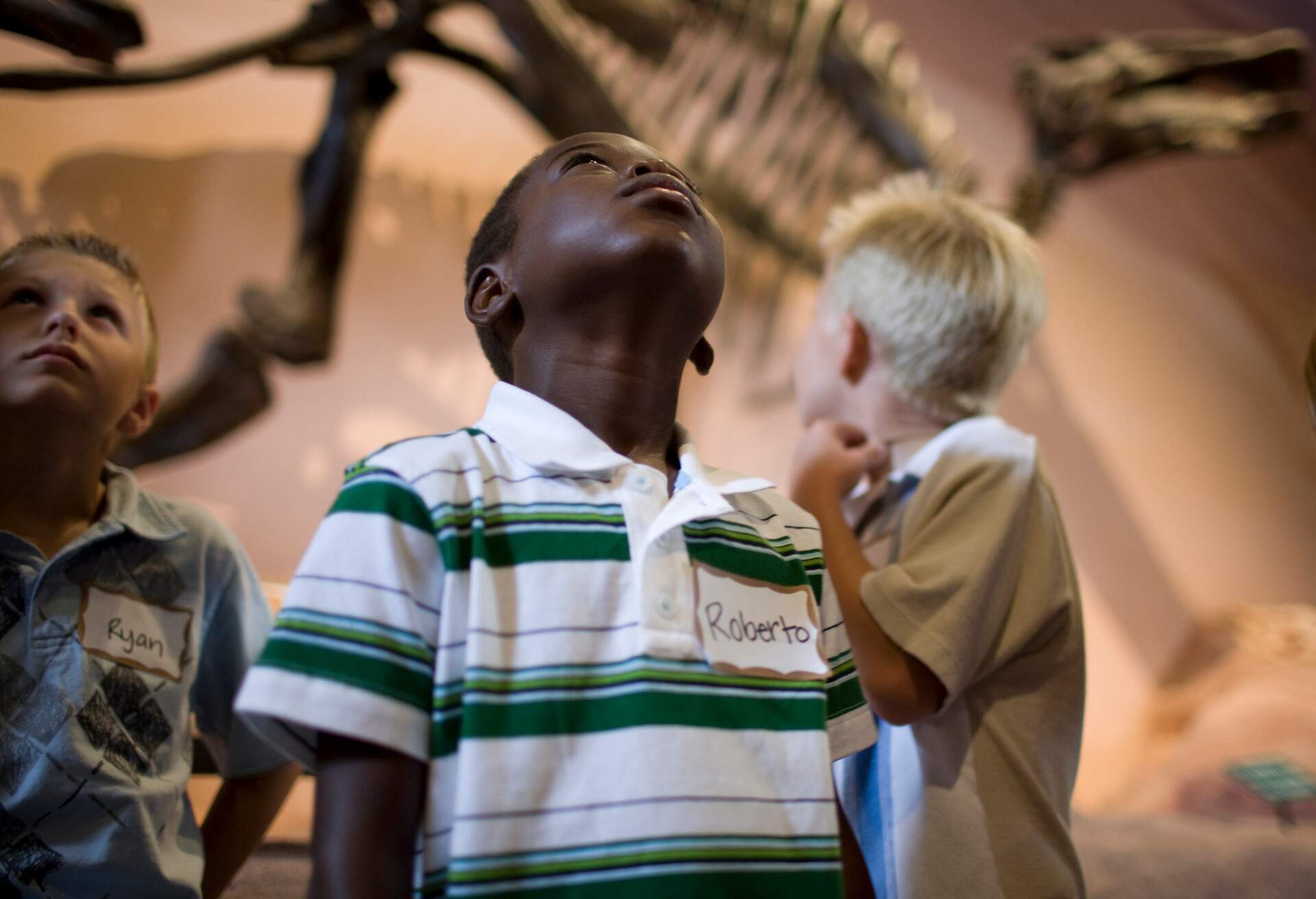 Two kids with name badges on their shirts glance up, while one looks back at a dinosaur exhibit.