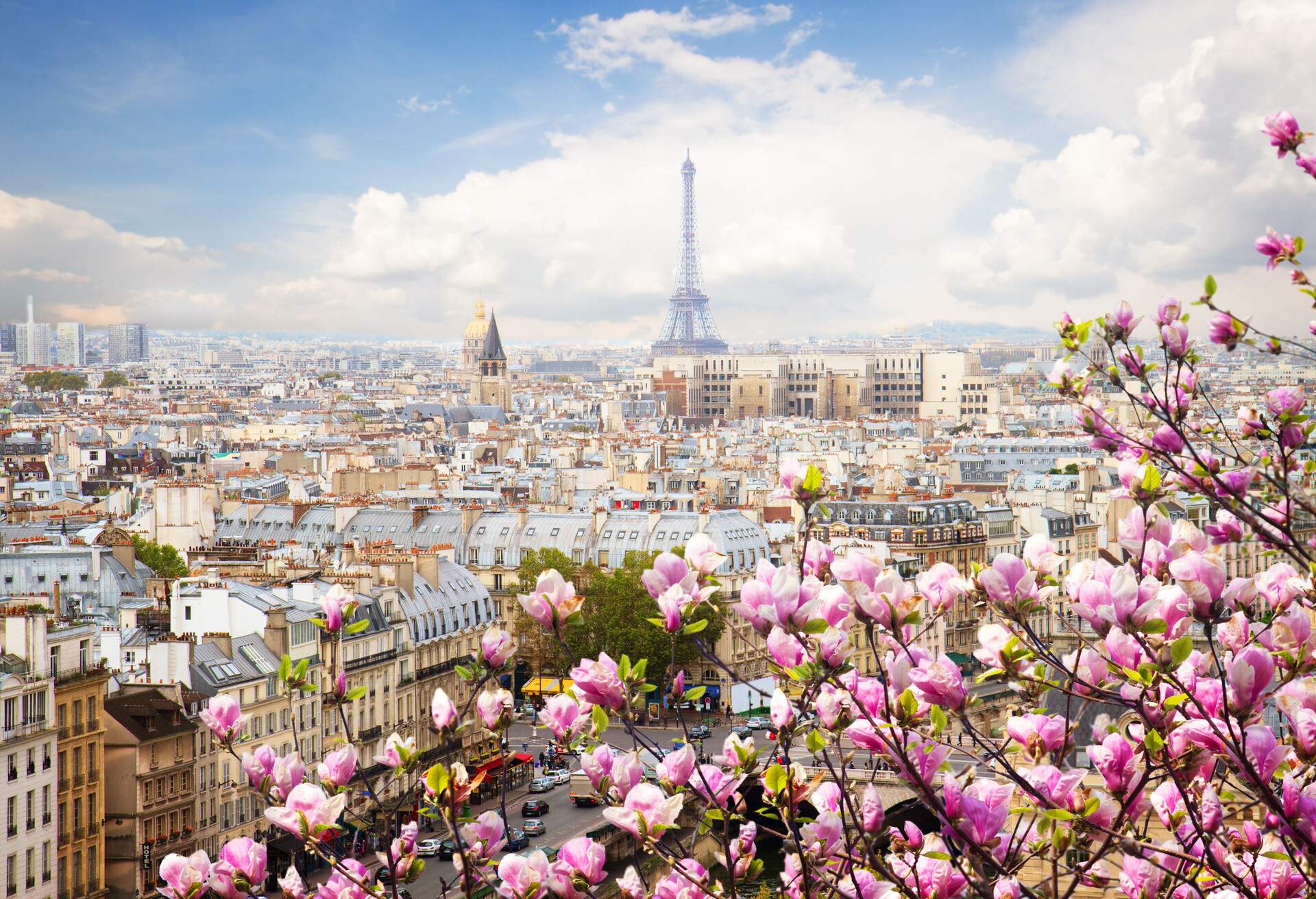 Skyline Paris city scape with the Eiffel tower in the centre.