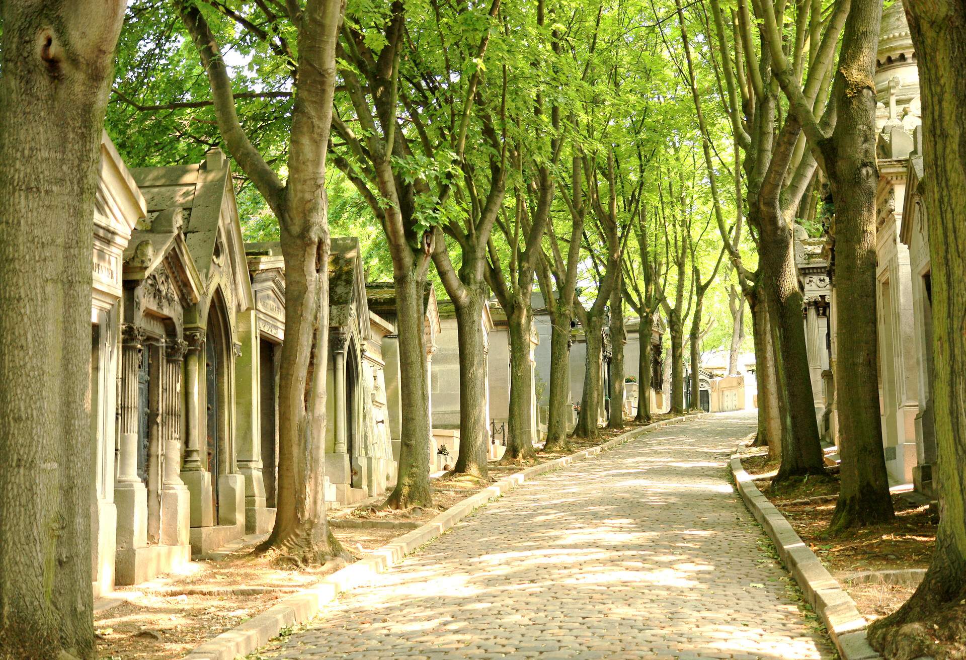 A cemetery path paved with stone and bordered on either side by trees and mausoleums.