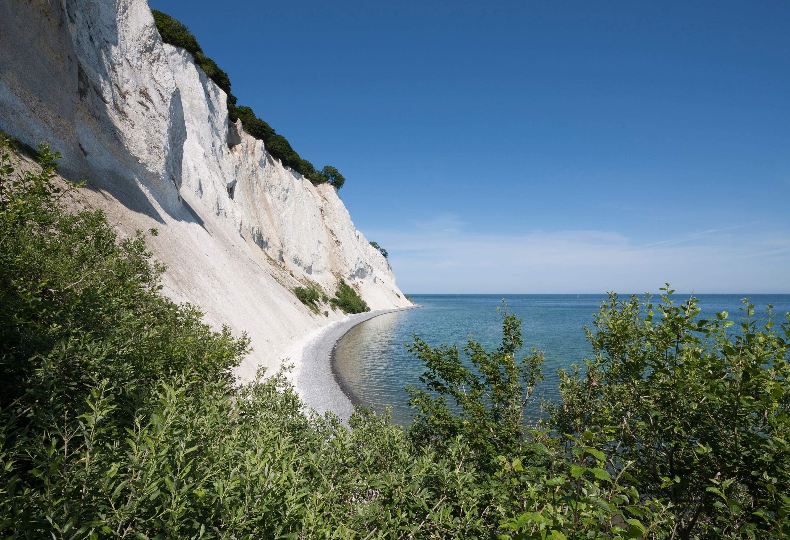 A stretch of a chalk cliff covered with lush trees along a tranquil sea against the blue sky.