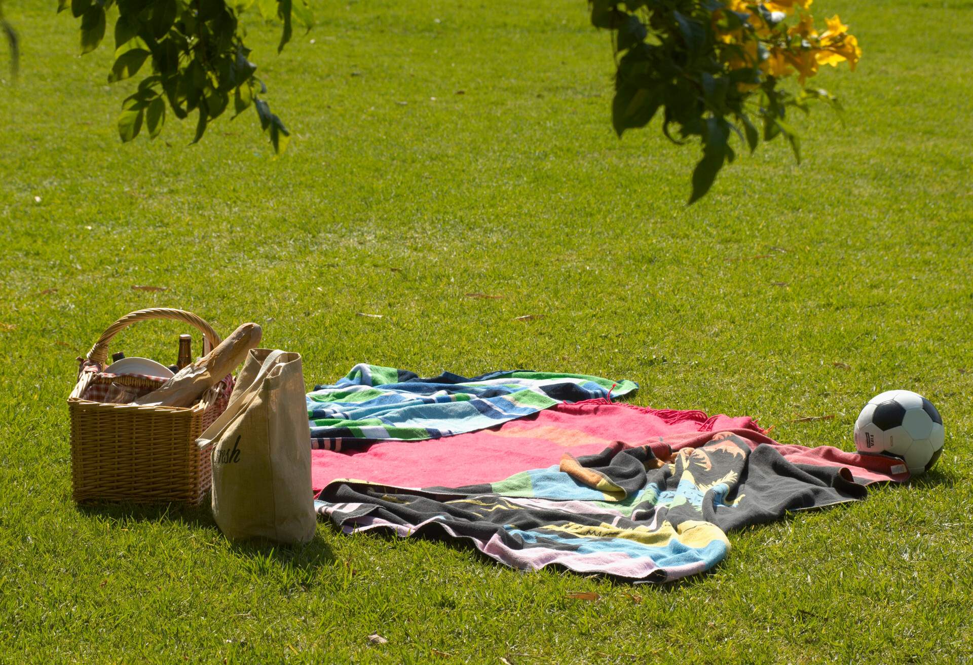 THEME_PICNIC_GettyImages