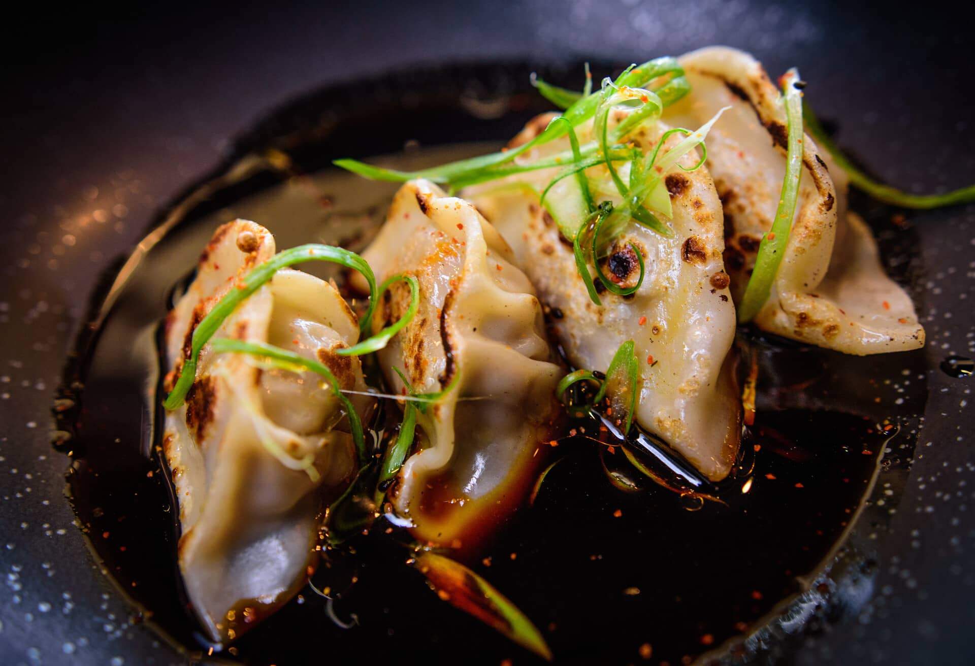 gyoza dumpling