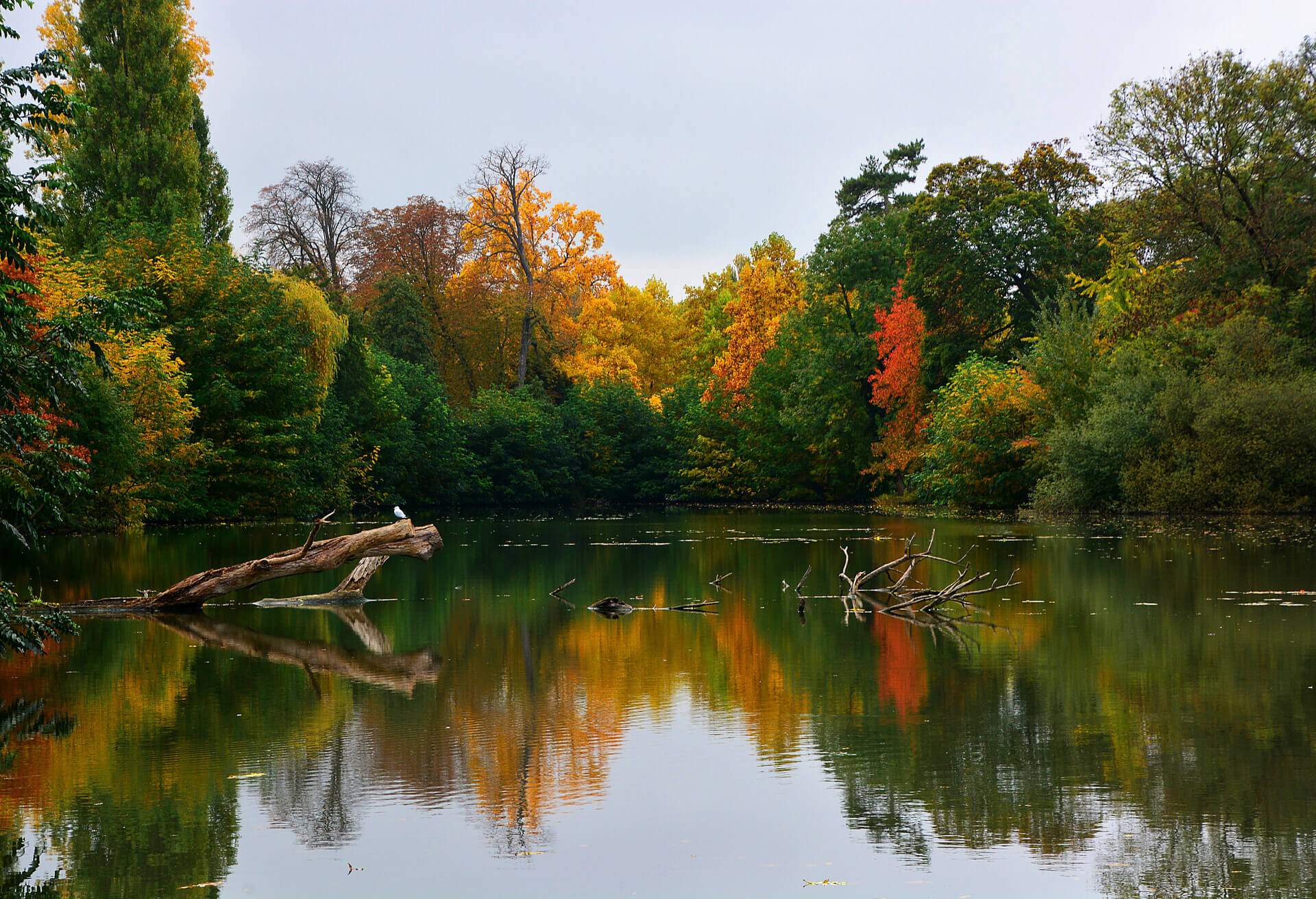 france bois de boulogne