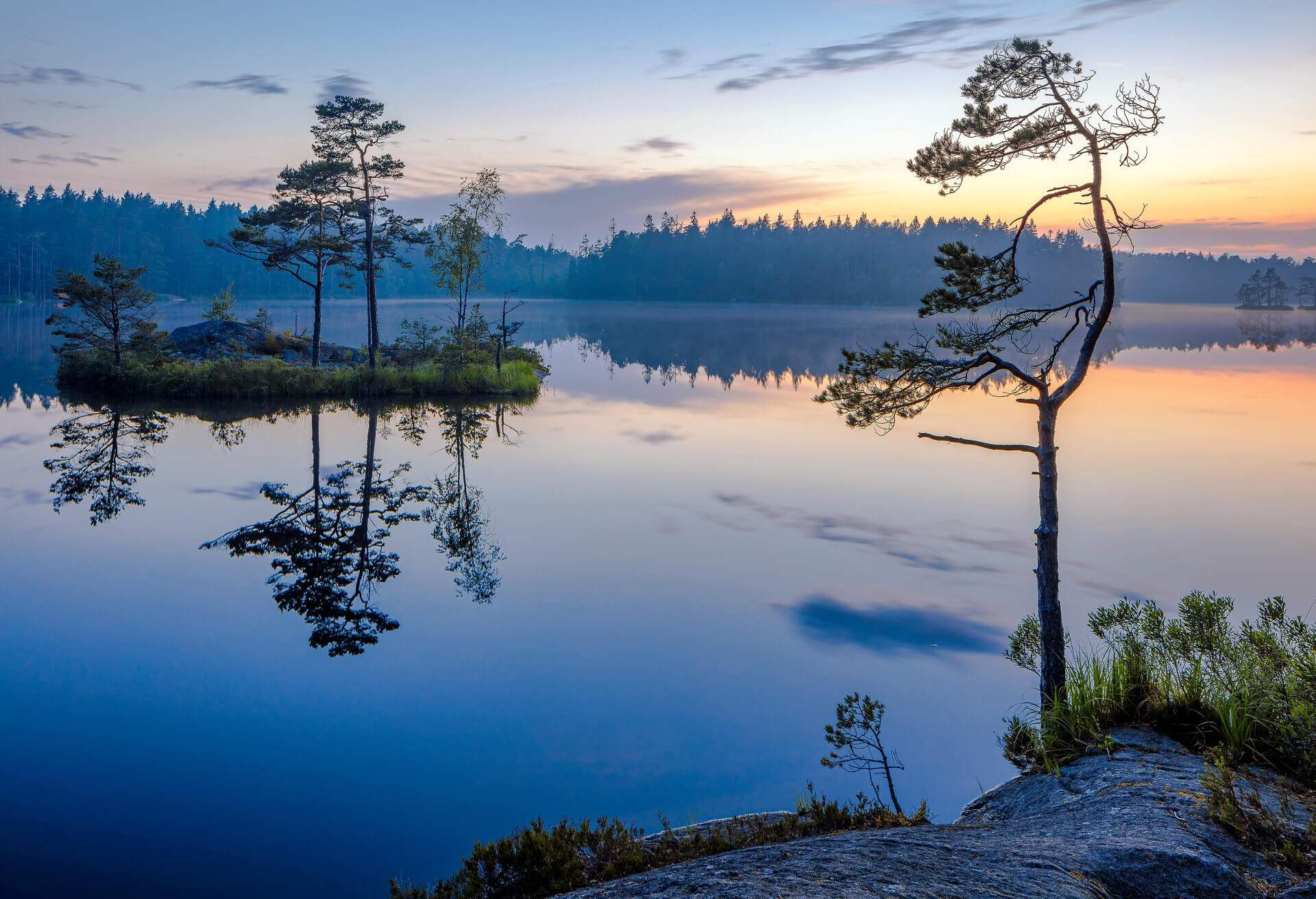 tyresta national park