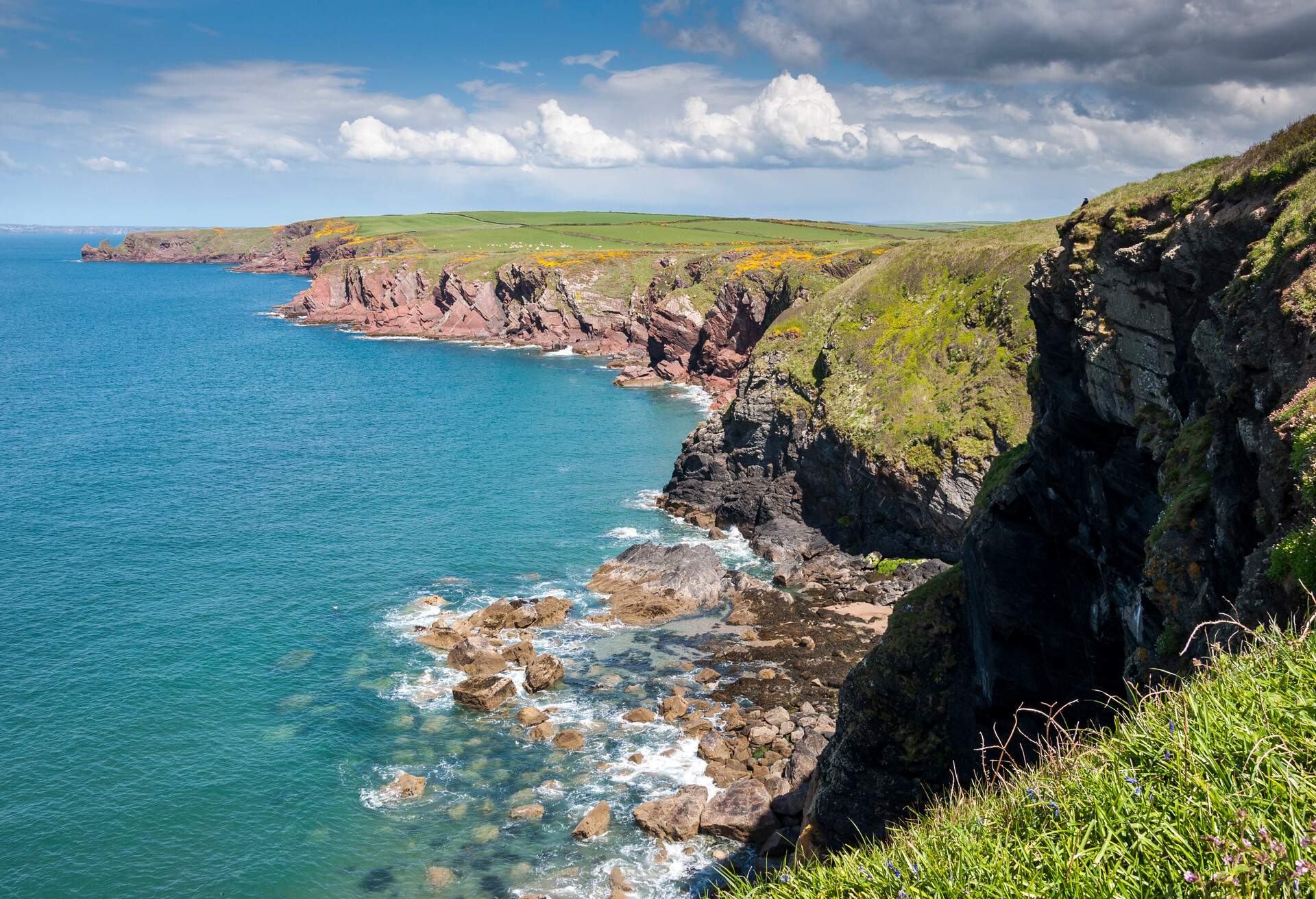 A picturesque coast with crystal-clear blue waters alongside red sandstone cliffs covered with grass and wildflowers on its edge.