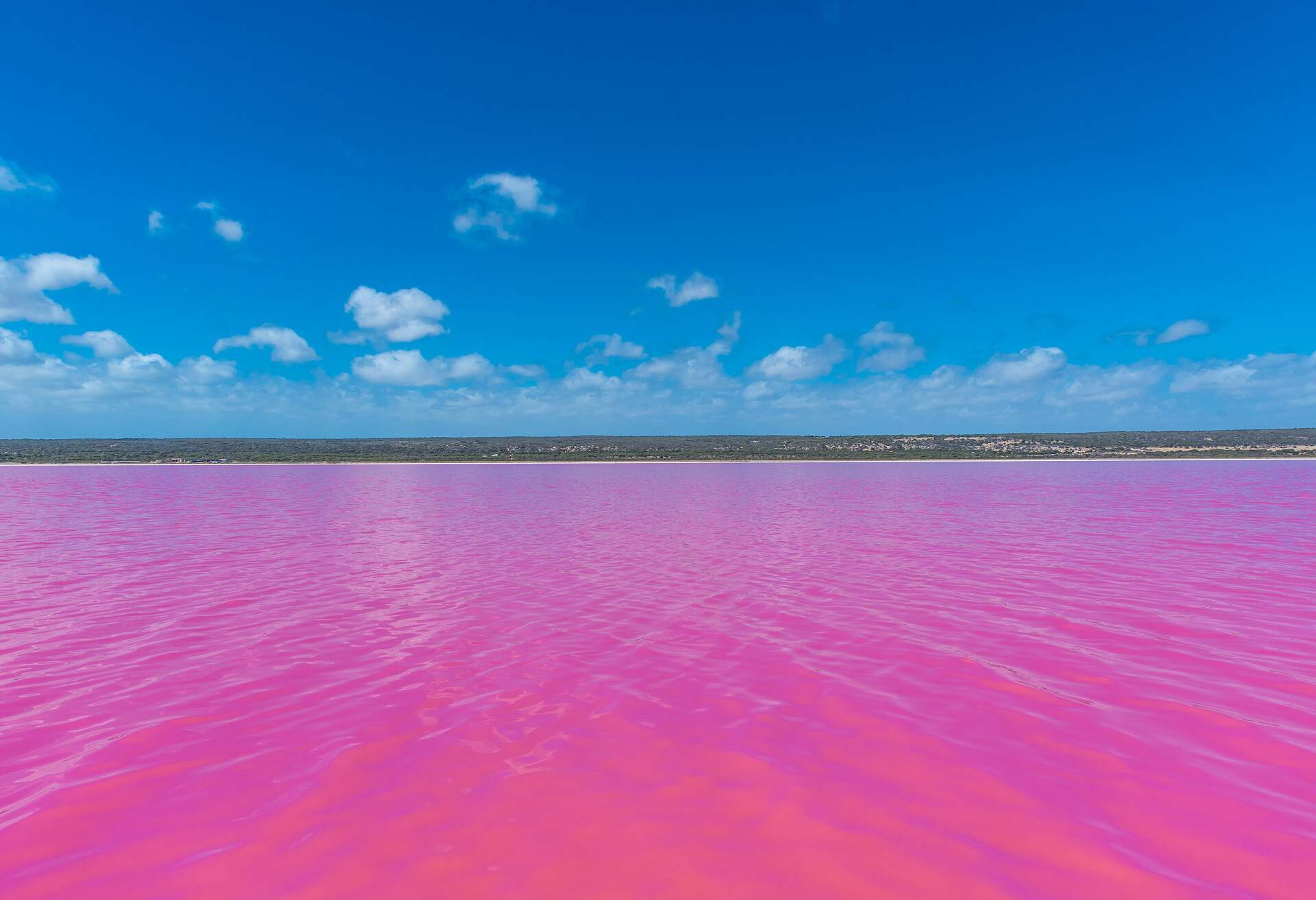 AUSTRALIA HUTT LAGOON PINK LAKE