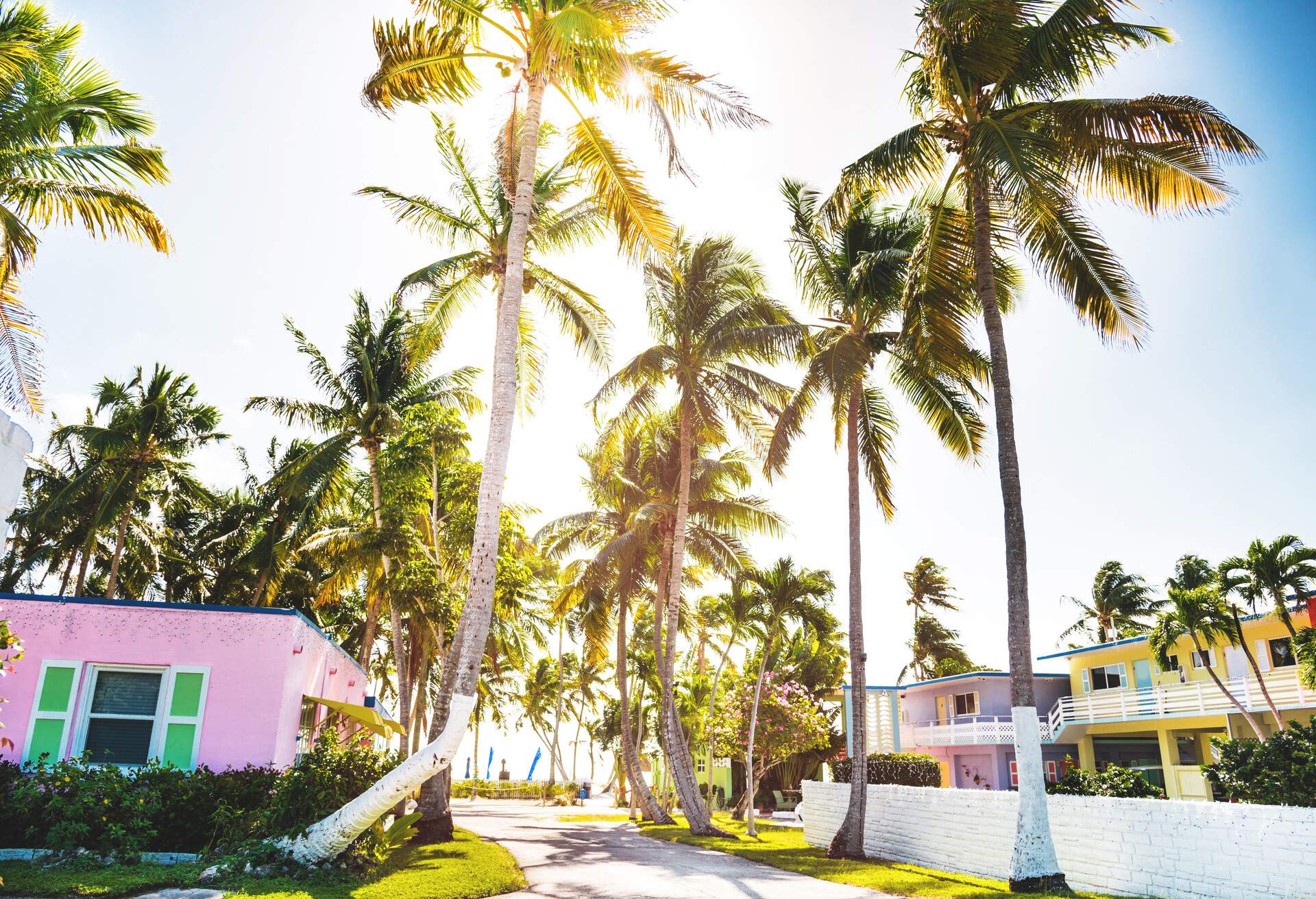 DEST_USA_FLORIDA_KEY_WEST palm trees neighborhood homes-GettyImages-639869060