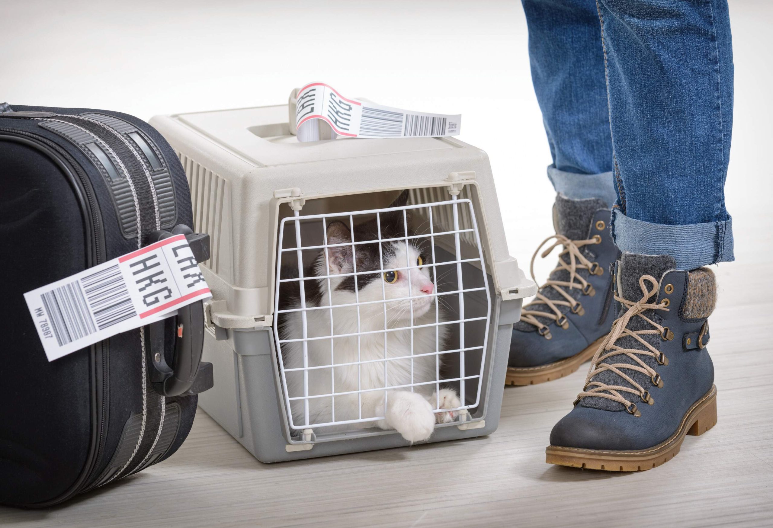 A black and white cat inside a cage between a tagged luggage and a person's boots.