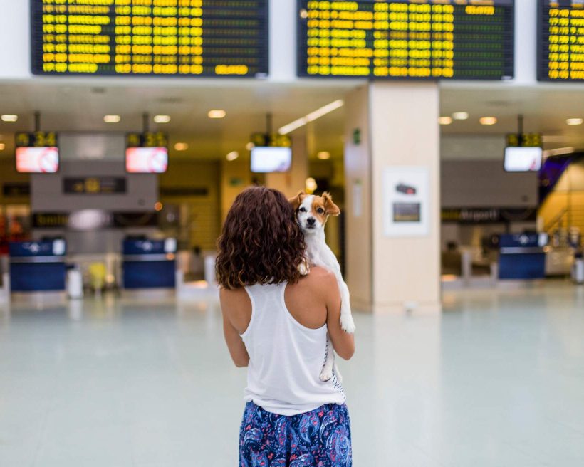 THEME_ANIMAL_DOG_PEOPLE_WOMAN_AIRPORT_GettyImages