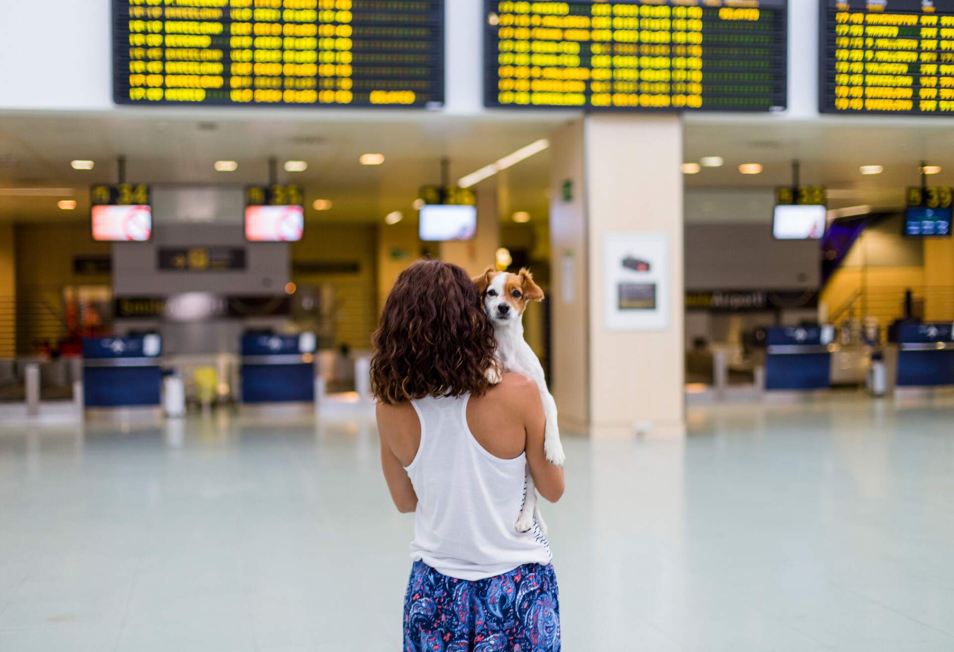 THEME_ANIMAL_DOG_PEOPLE_WOMAN_AIRPORT_GettyImages