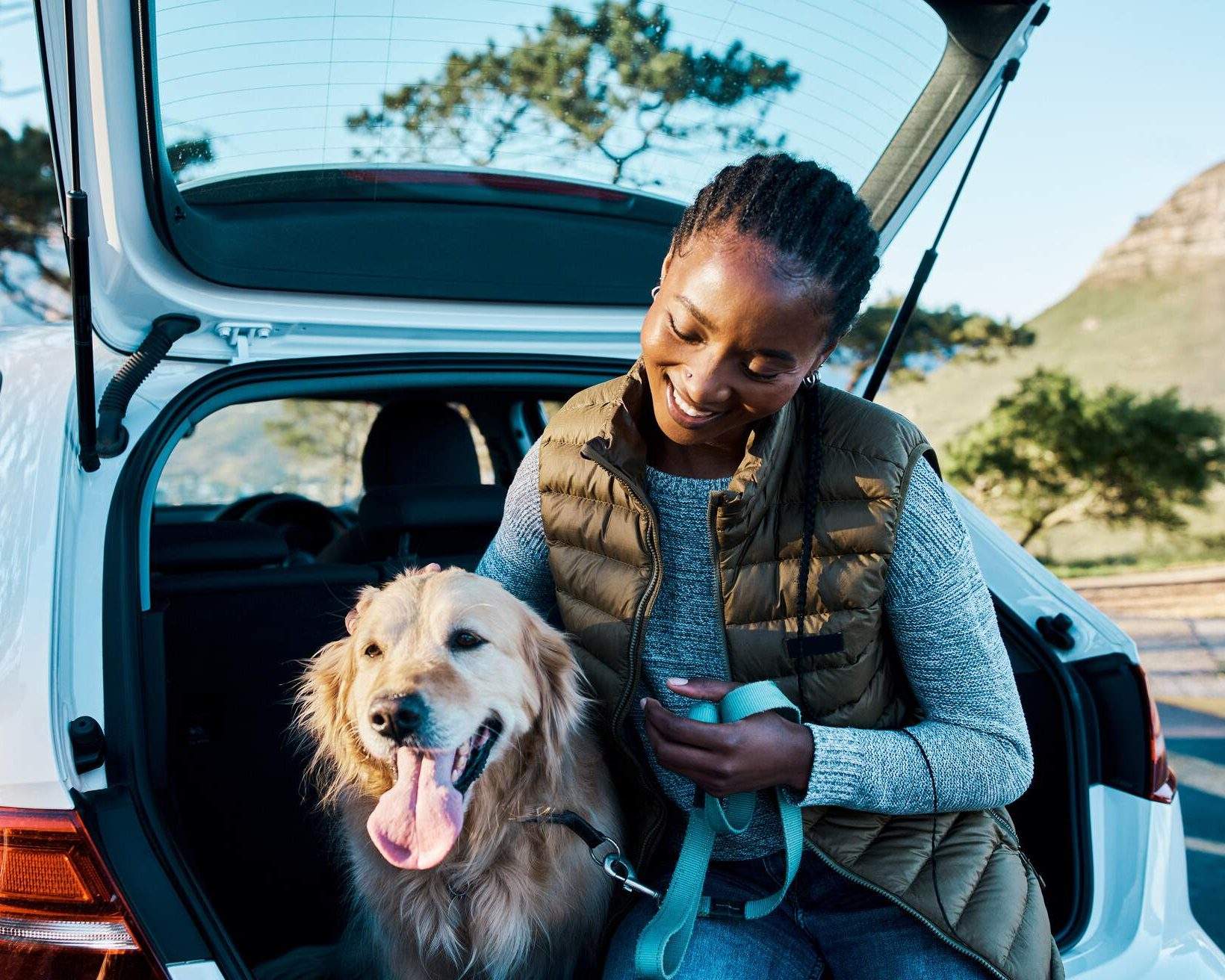 Hare ammunition Hørehæmmet Tips til camping med hunde | momondo