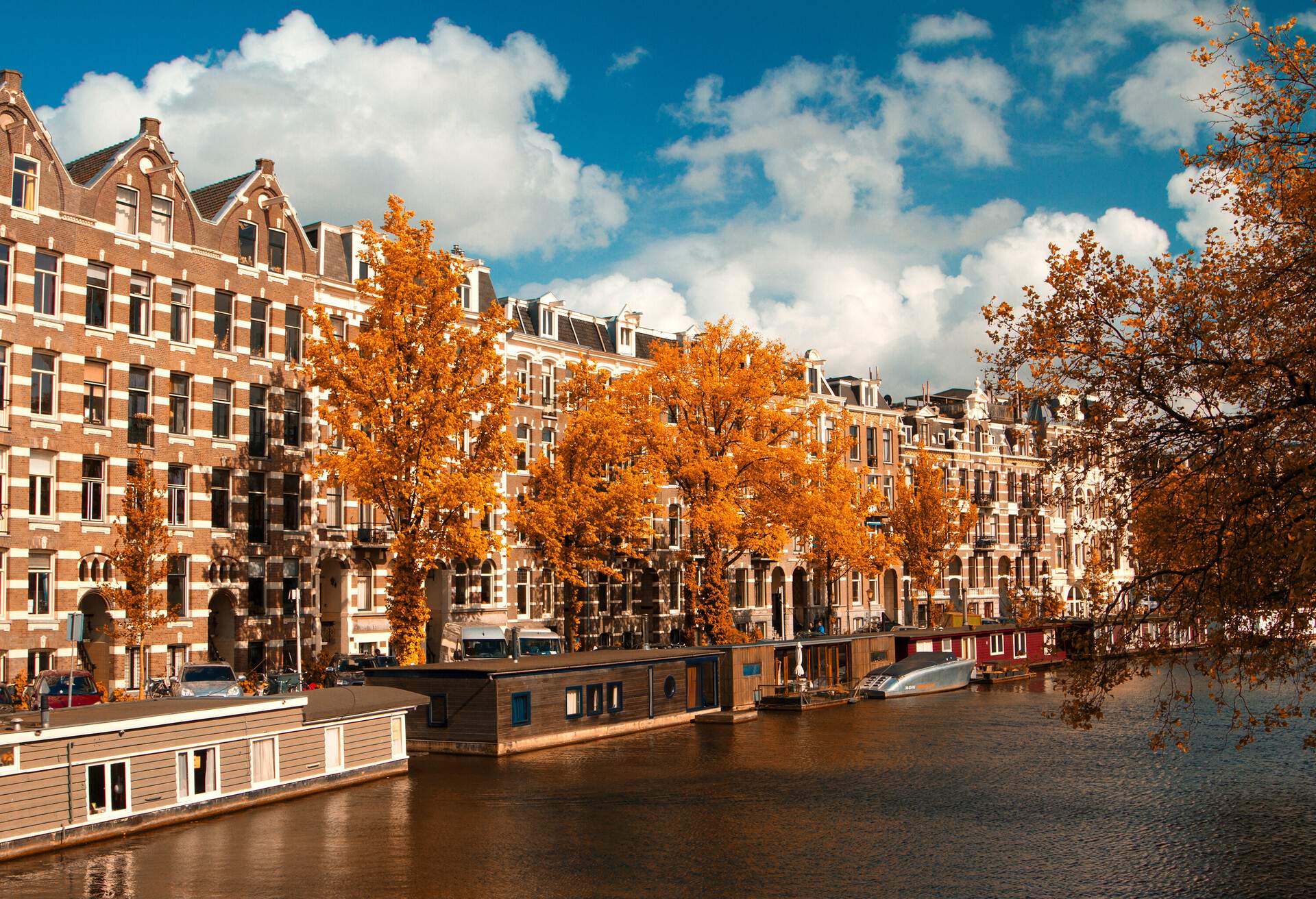 Houseboats on the canal close to a row of autumn-coloured trees and brown adjacent buildings.