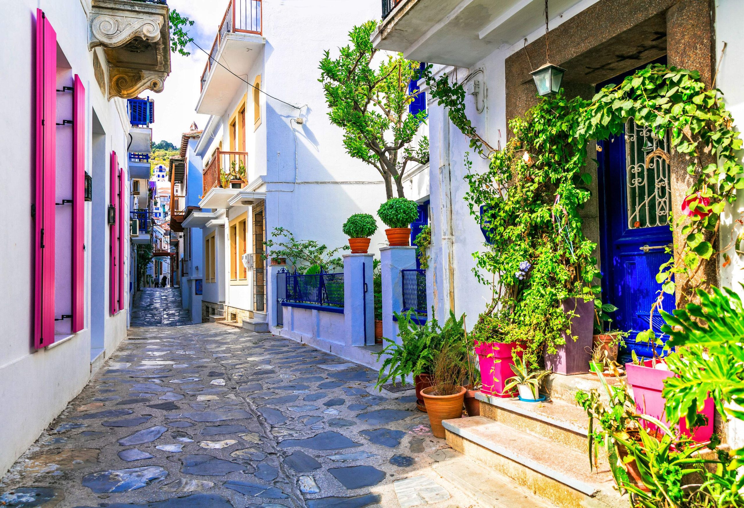 A charming stone-paved alleyway lined with colourful row homes, adorned with vibrant plants and flowers.