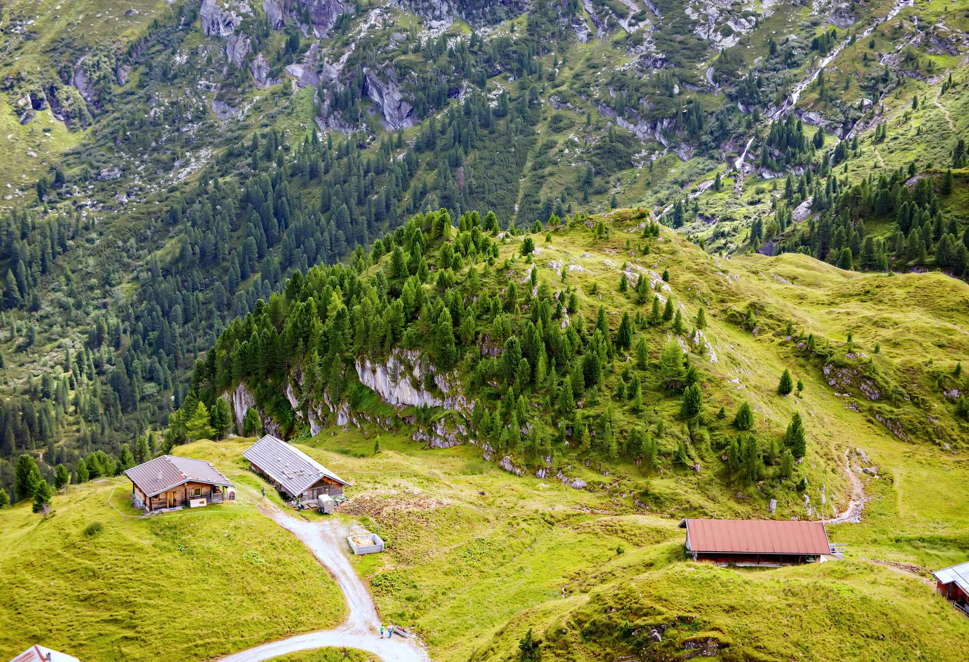 Mountain and forest landscape in Tirol. Austria, Hintertux