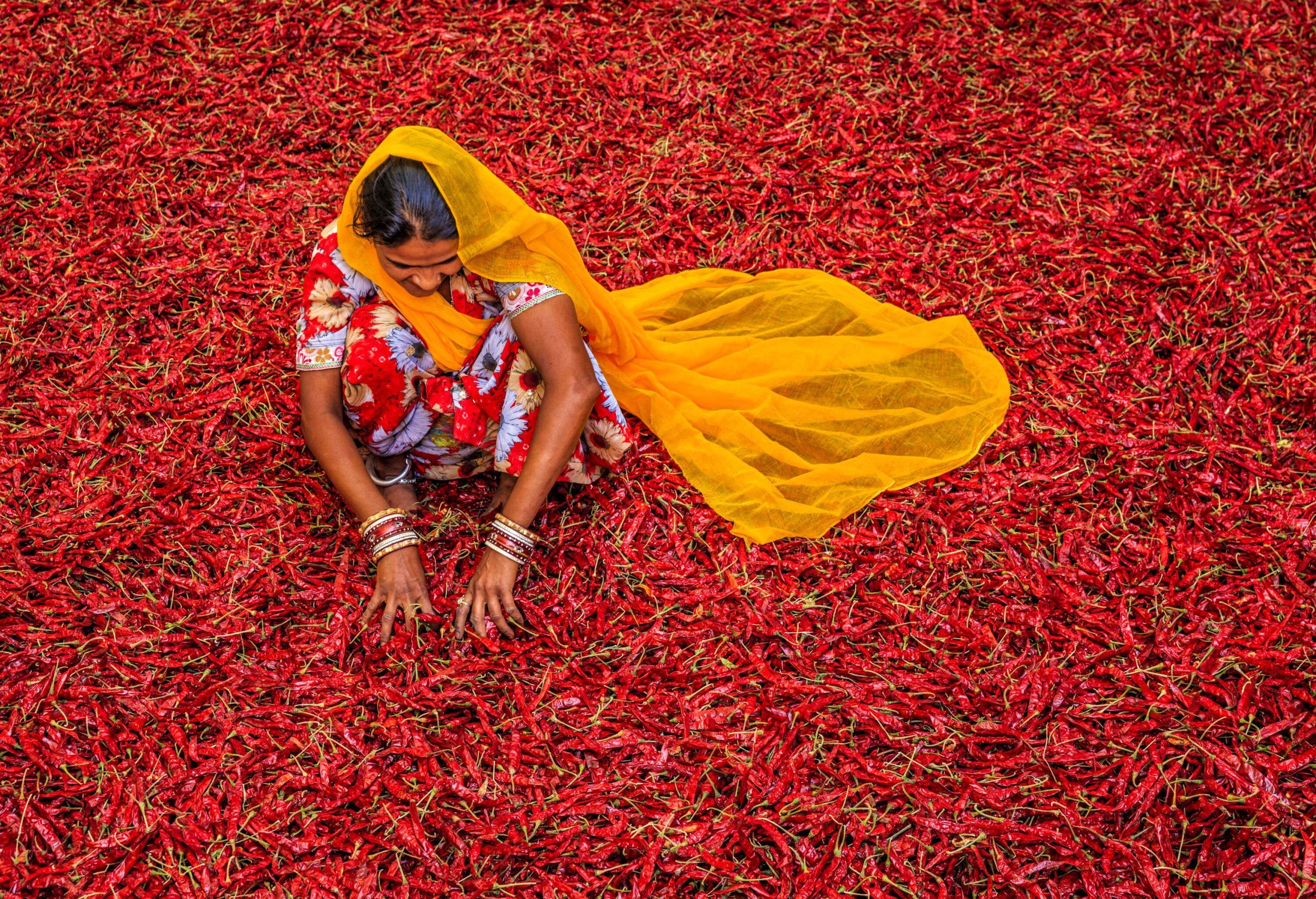 A woman with a yellow headscarf sitting on a bed of red chilli peppers.