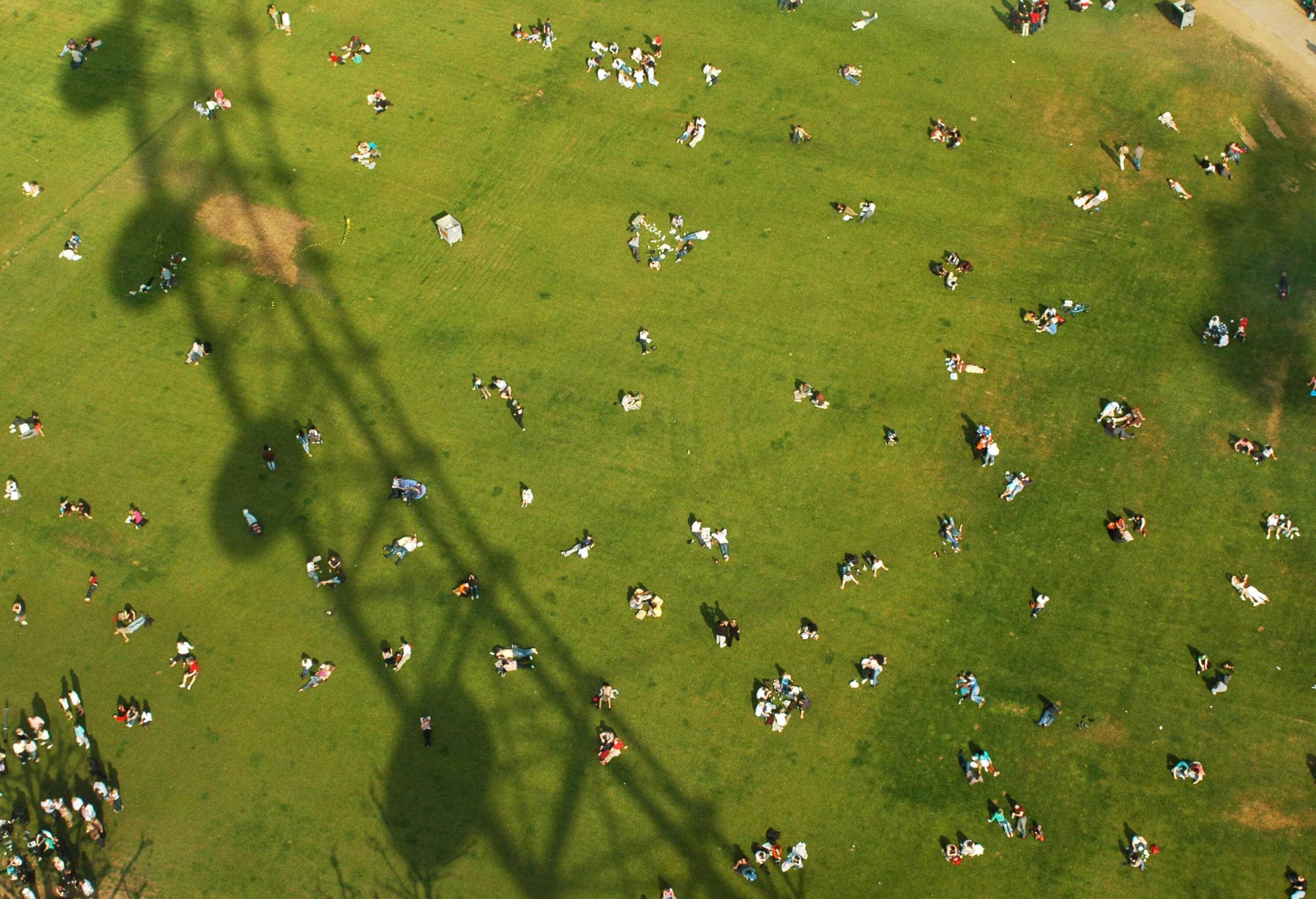 People lounging on a green park with a shadow of a Ferris wheel.