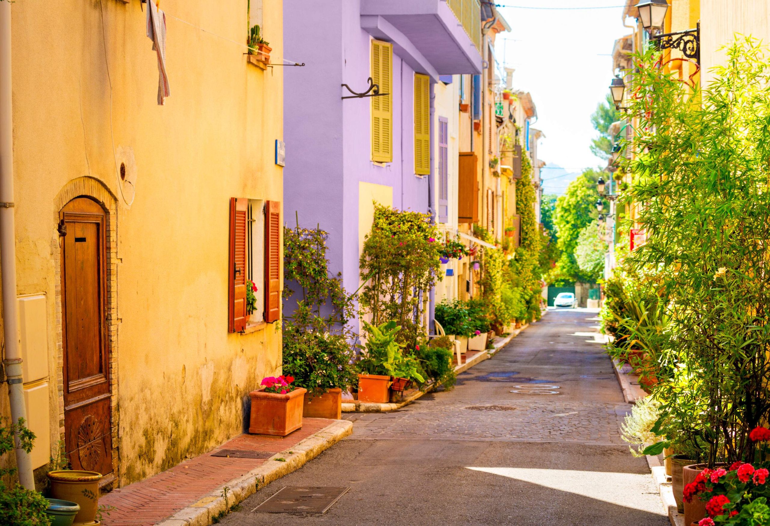 A narrow lane lined by potted plants and a series of brightly painted homes.