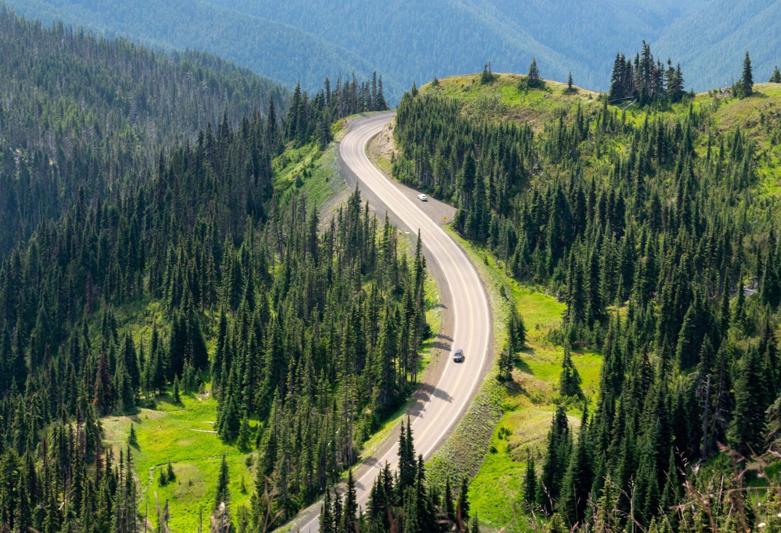 A car travels on a mountainside road along verdant coniferous trees.
