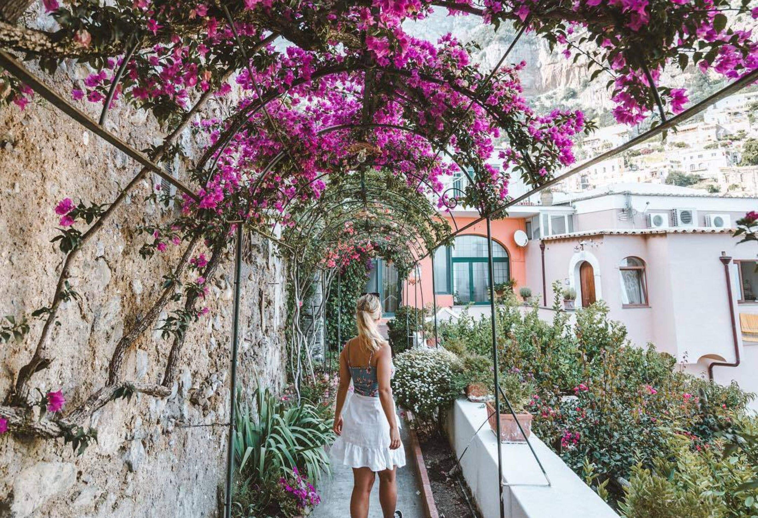 A woman walking through a narrow terrace walkway shaded by a canopy of purple flowers and vines.