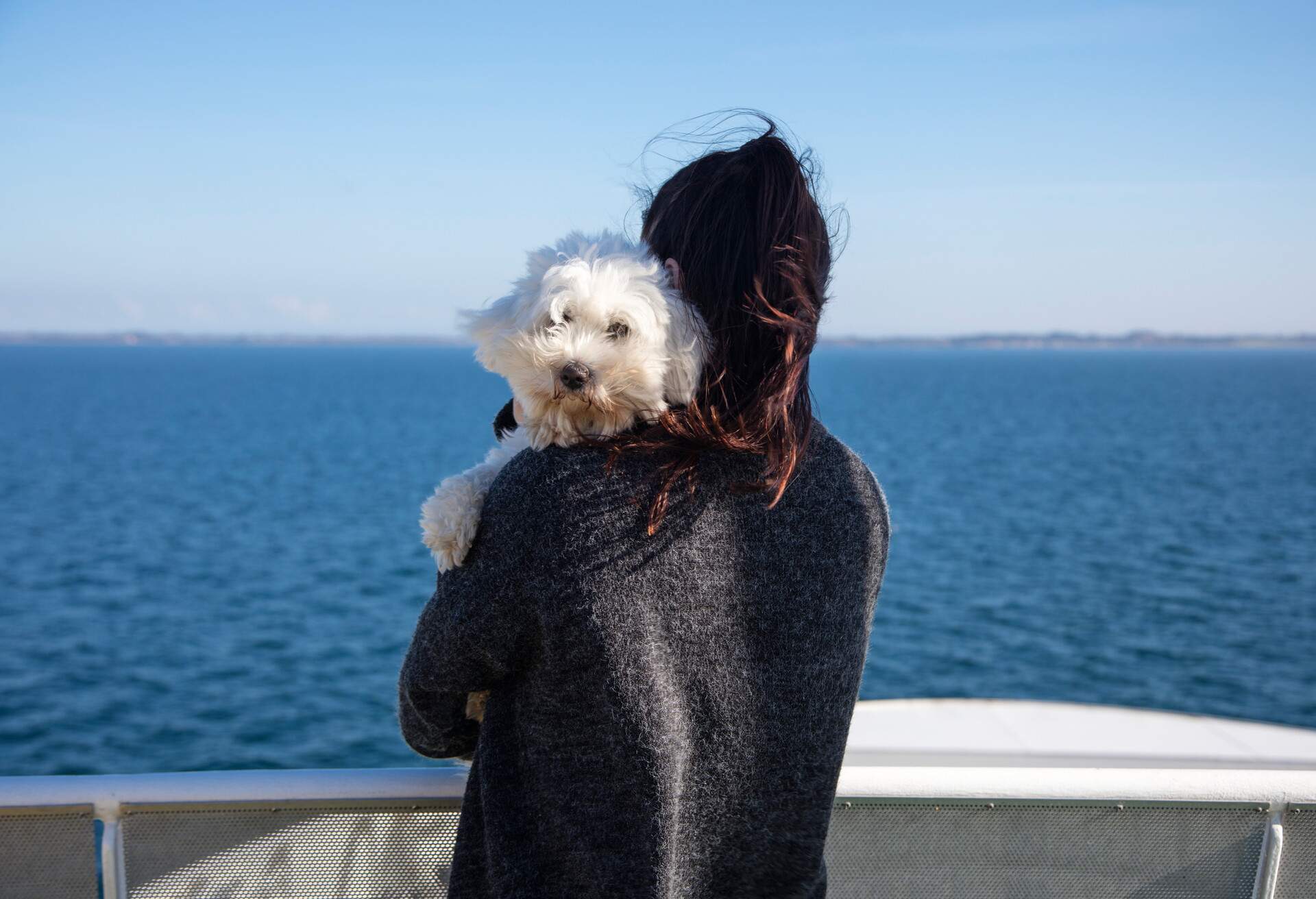 A woman carrying a white dog standing on the deck of a ferry boat, staring out into the sea.