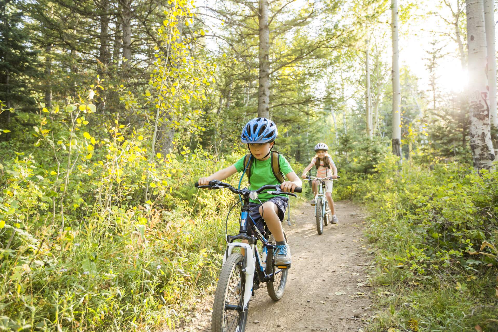 Two kids riding bicycles in the forest
