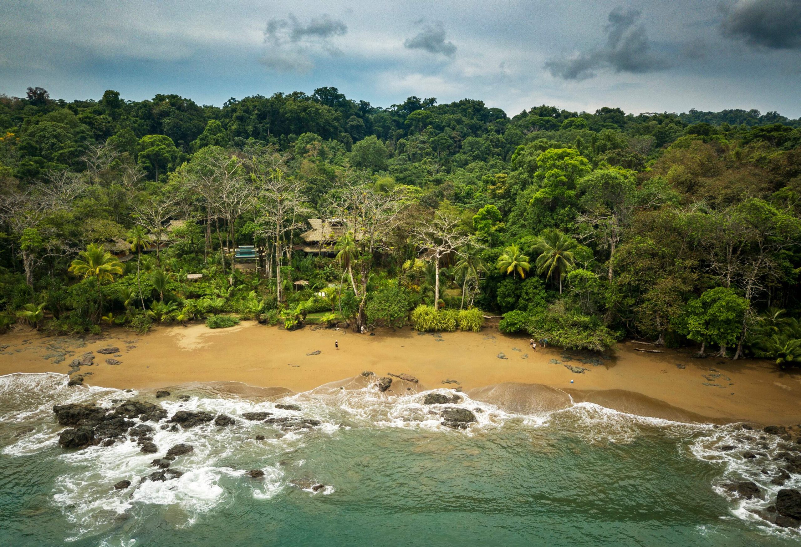 Beach houses hide in the thick, lush green trees surrounding the white waves rolling into the rock on the golden sands.