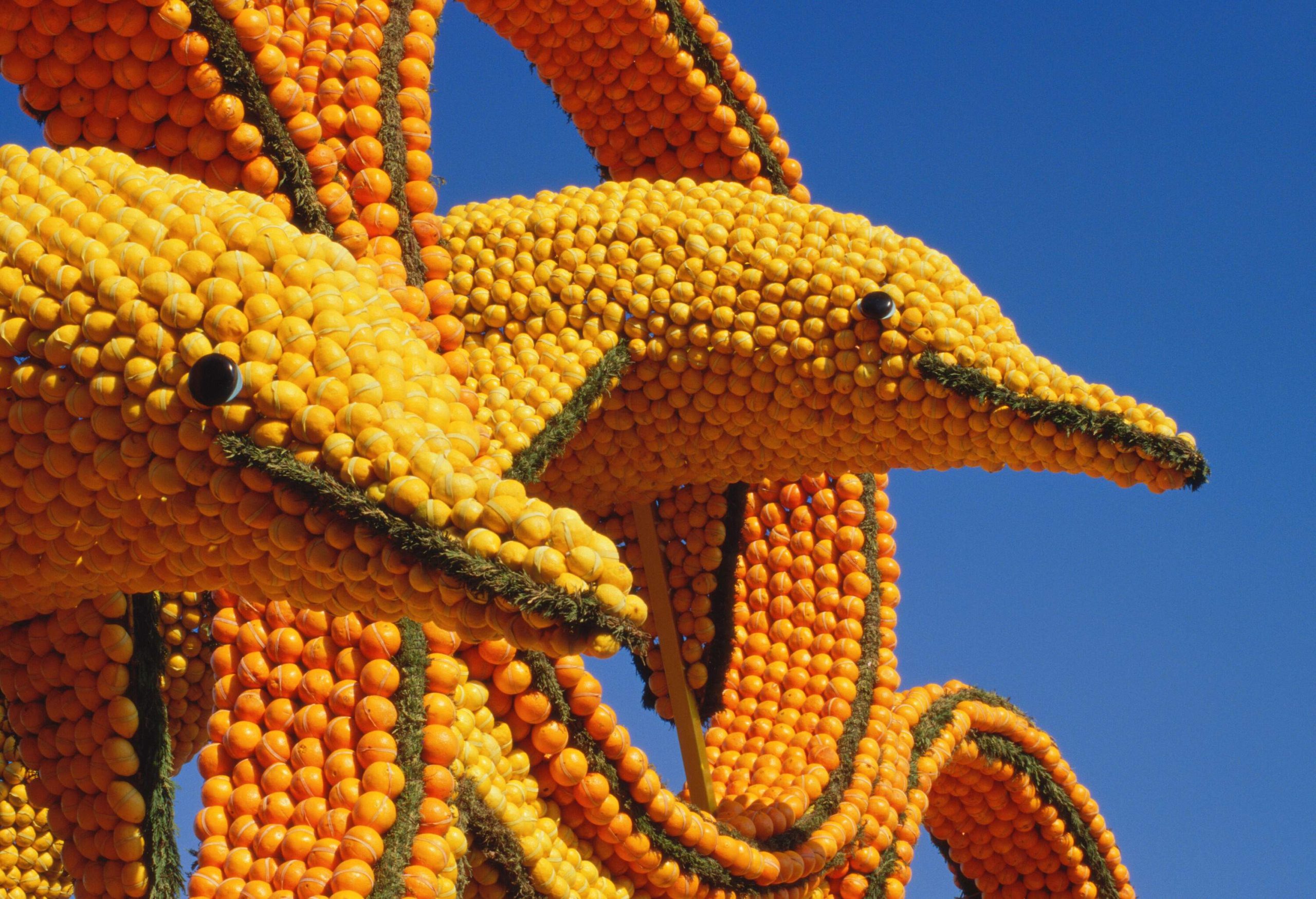 Dolphin shaped sculpture made out of lemons and oranges