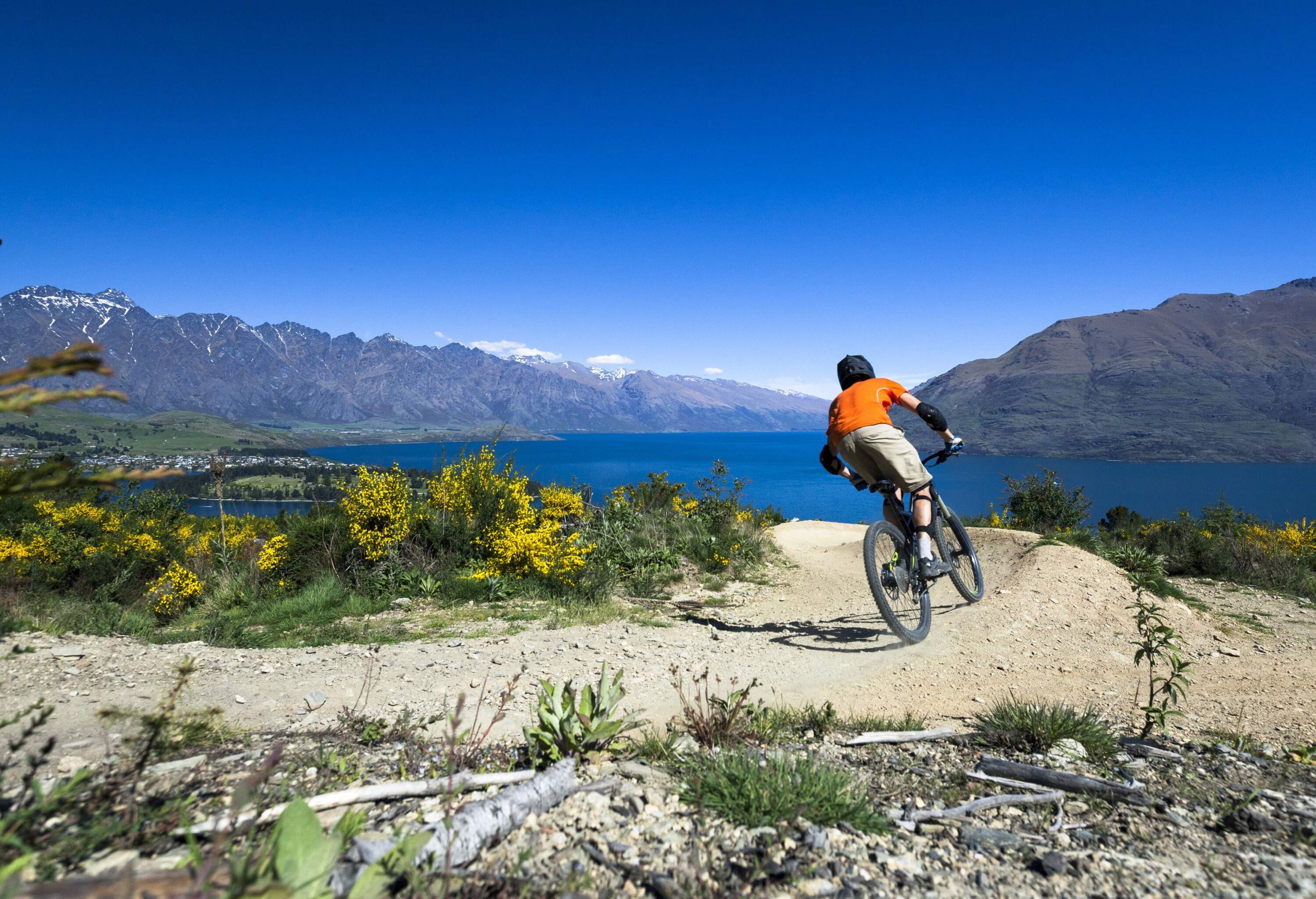 A rear view of a man riding a bike on a rugged mountain overlooking a lovely blue lake.