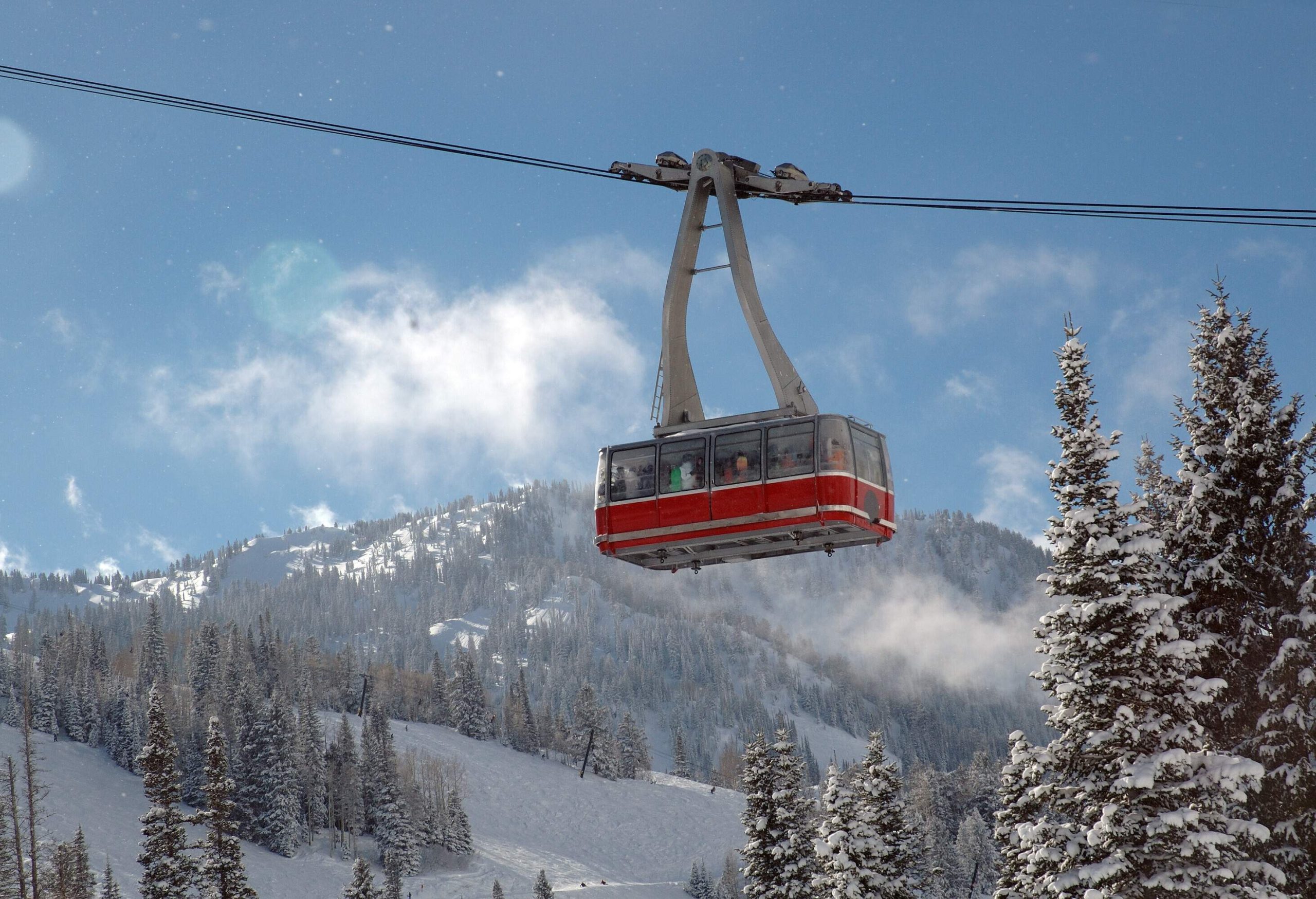 A red gondola suspended above a snowy mountainside surrounded by tall frost-covered trees.