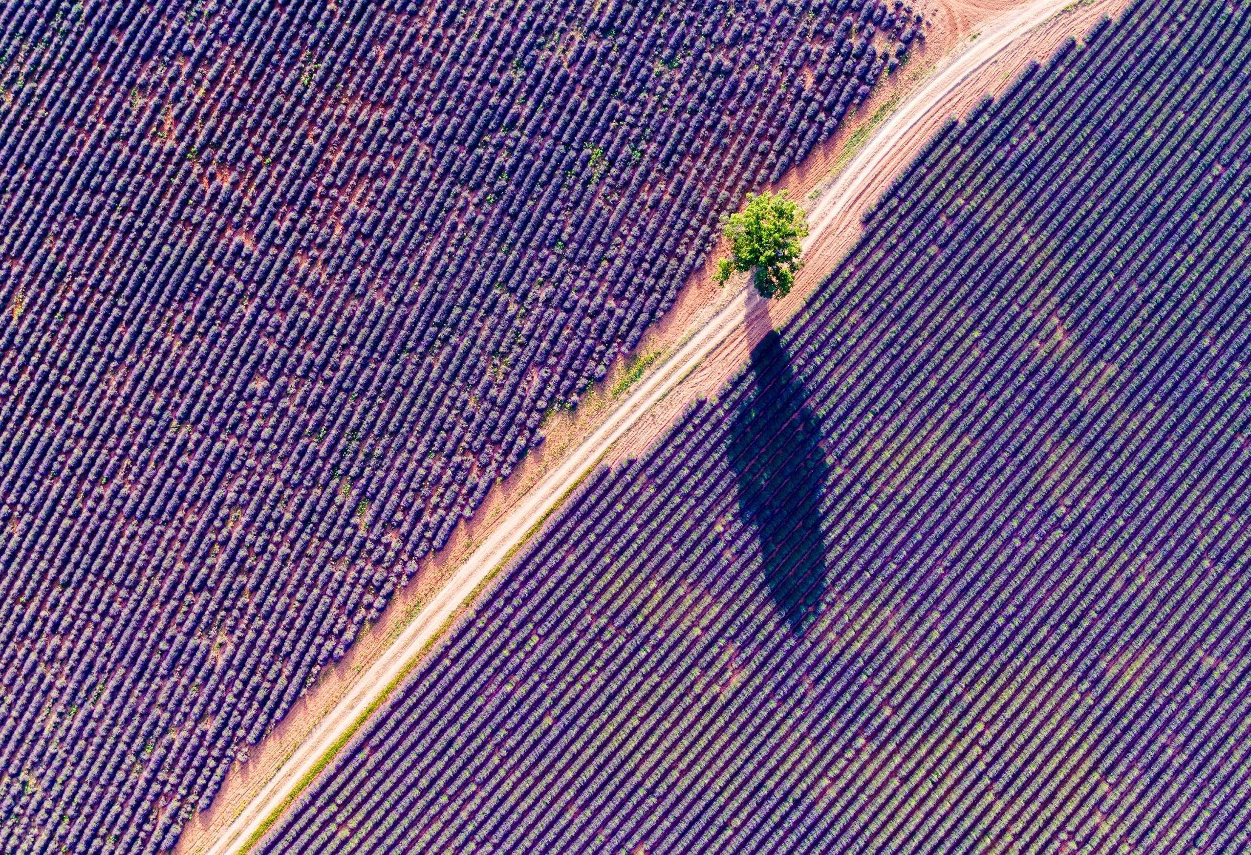 k-dest_france_provence_gettyimages-967138238-scaled