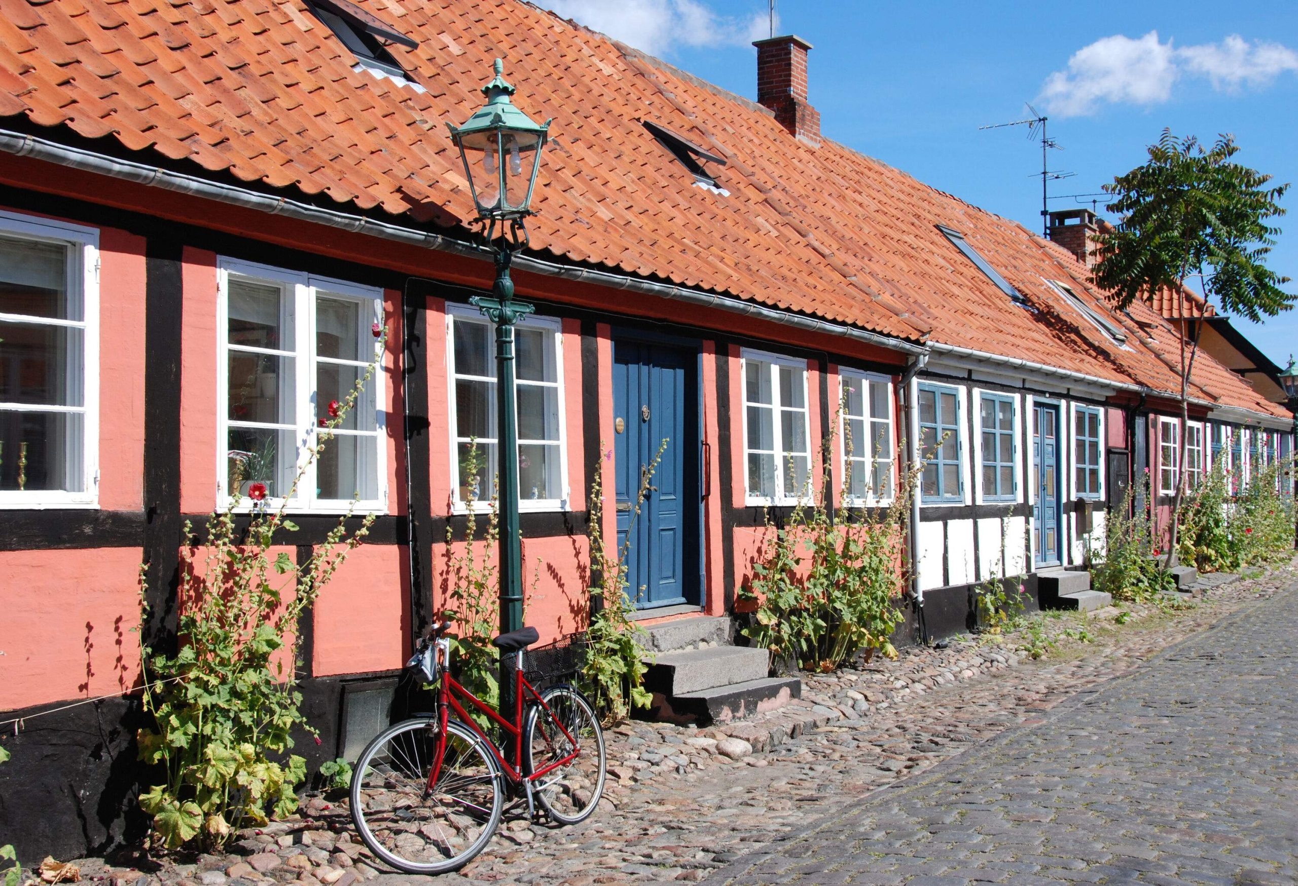 The stone-paved roadway is lined with a variety of vibrant homes and some overgrown bushes.