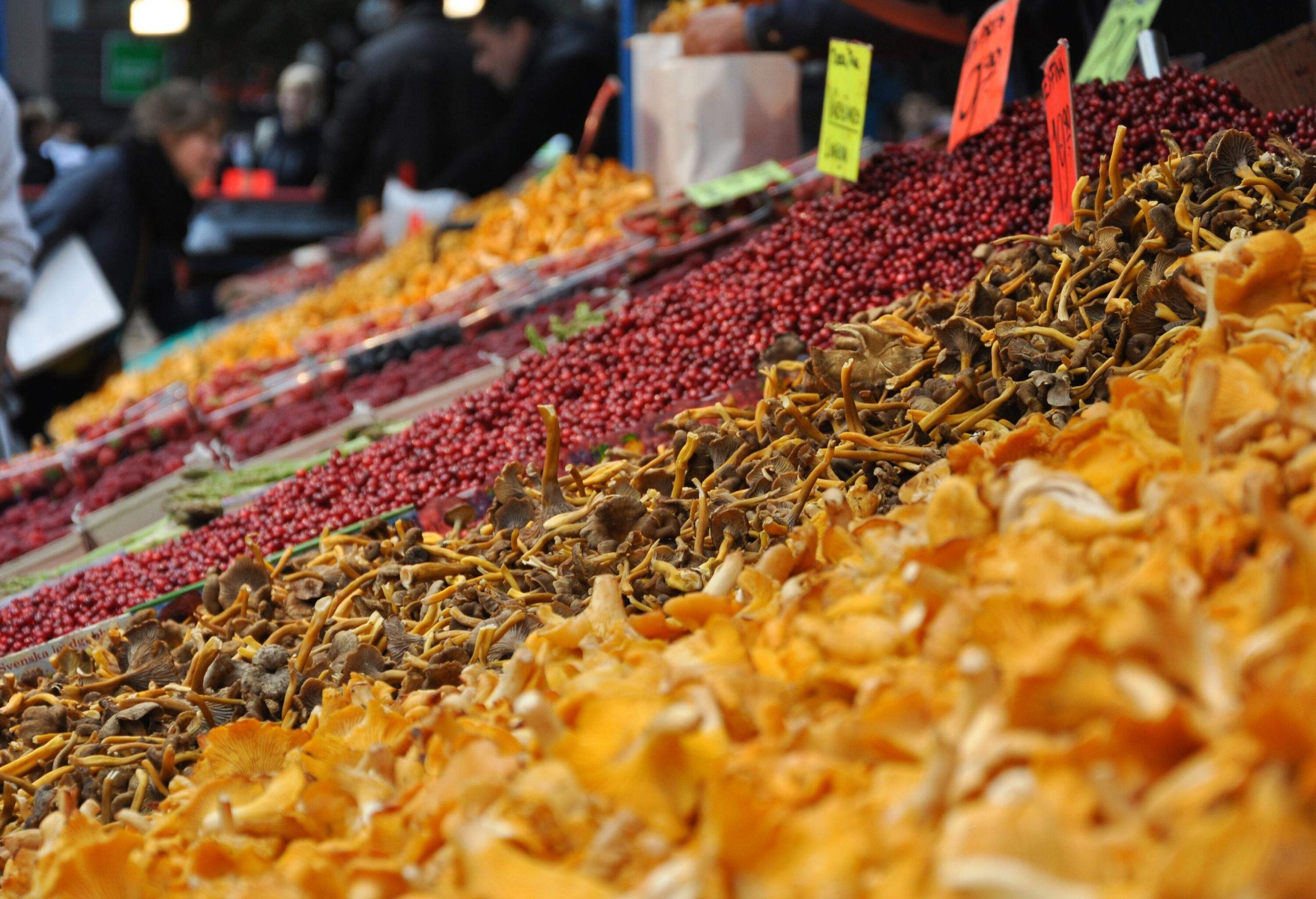 A display of colourful mushrooms and seeds with labels and prices.